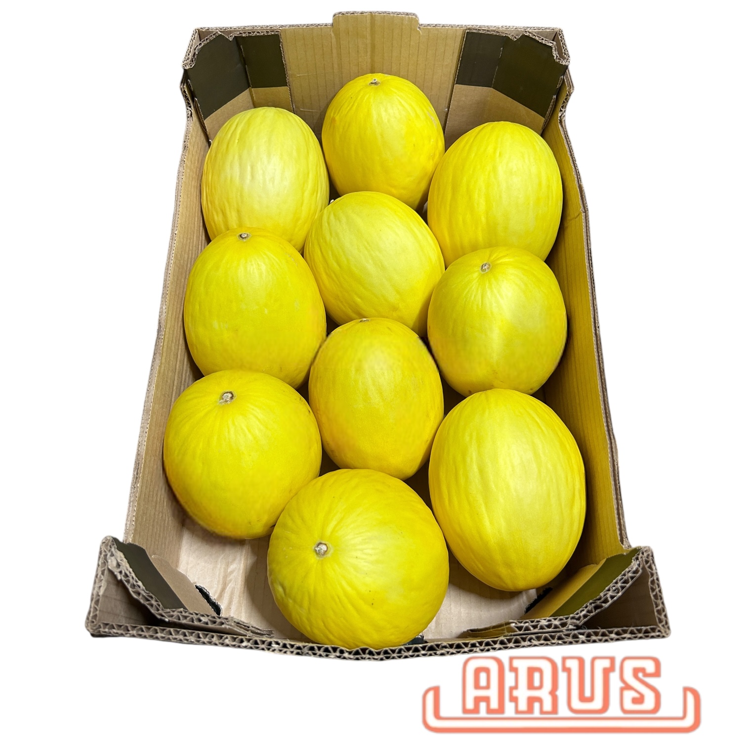 Honigmelonen 10er / 12kg - span. -