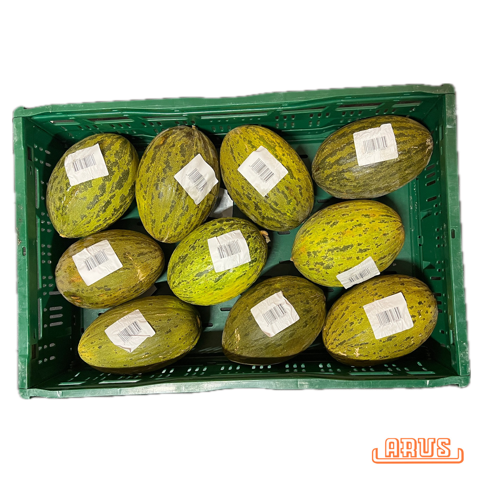 Futuro-/ Piel de Sapo Melonen 10er 12kg