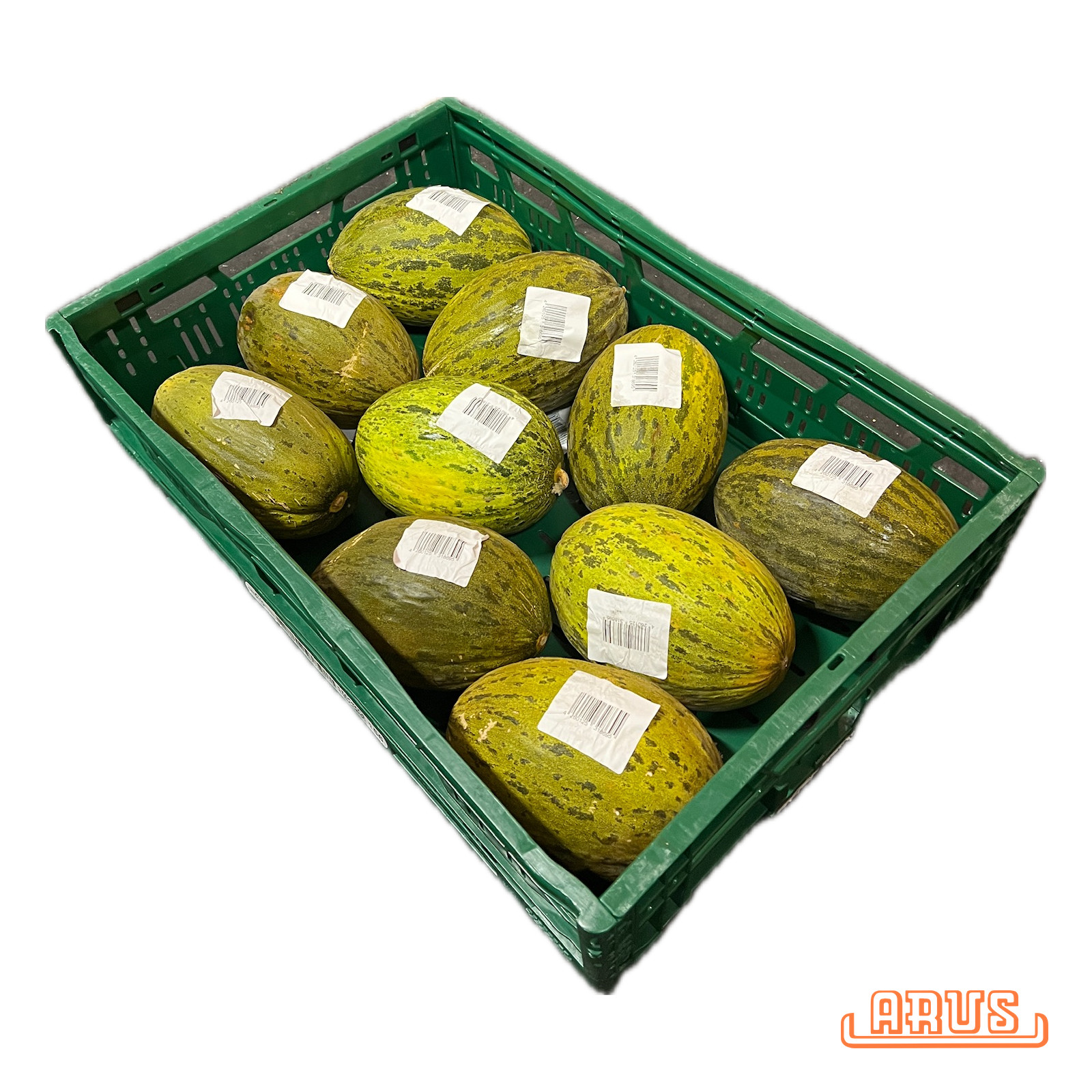 Futuro-/ Piel de Sapo Melonen 10er 12kg