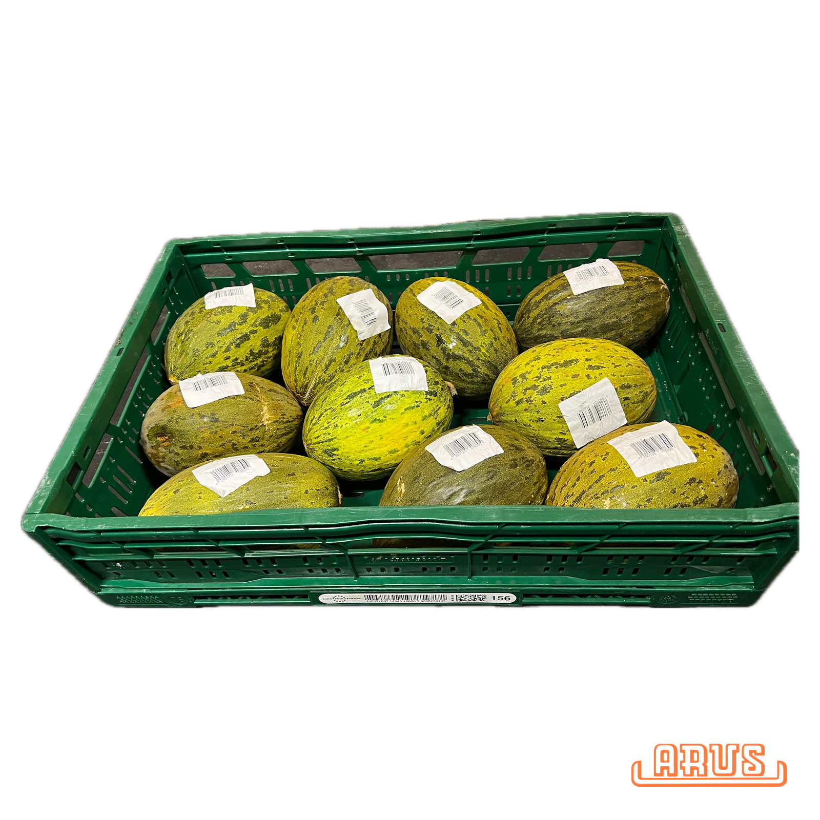 Futuro-/ Piel de Sapo Melonen 10er 12kg