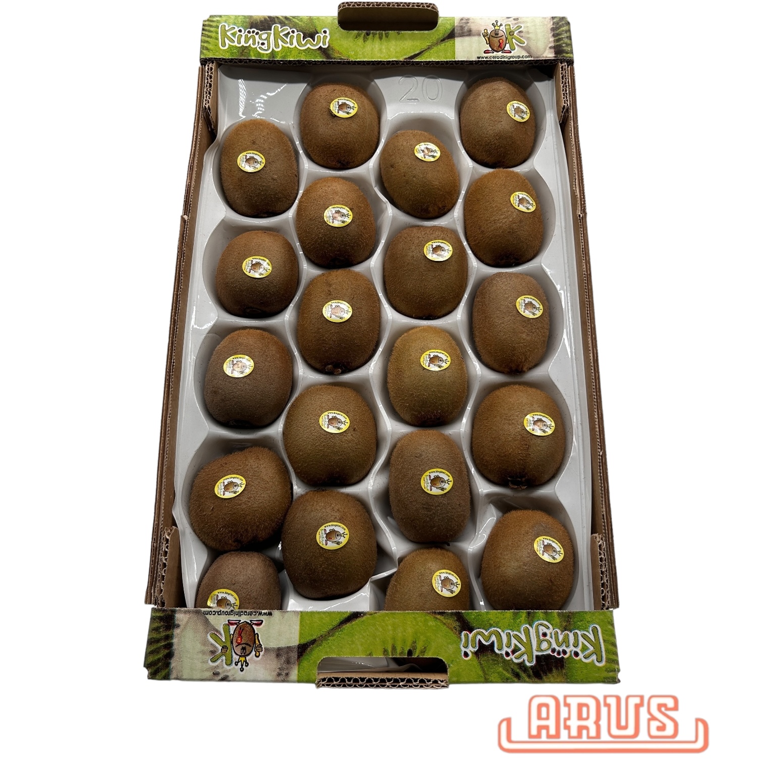 Kiwi "Hayward" 20er - Jumbo -