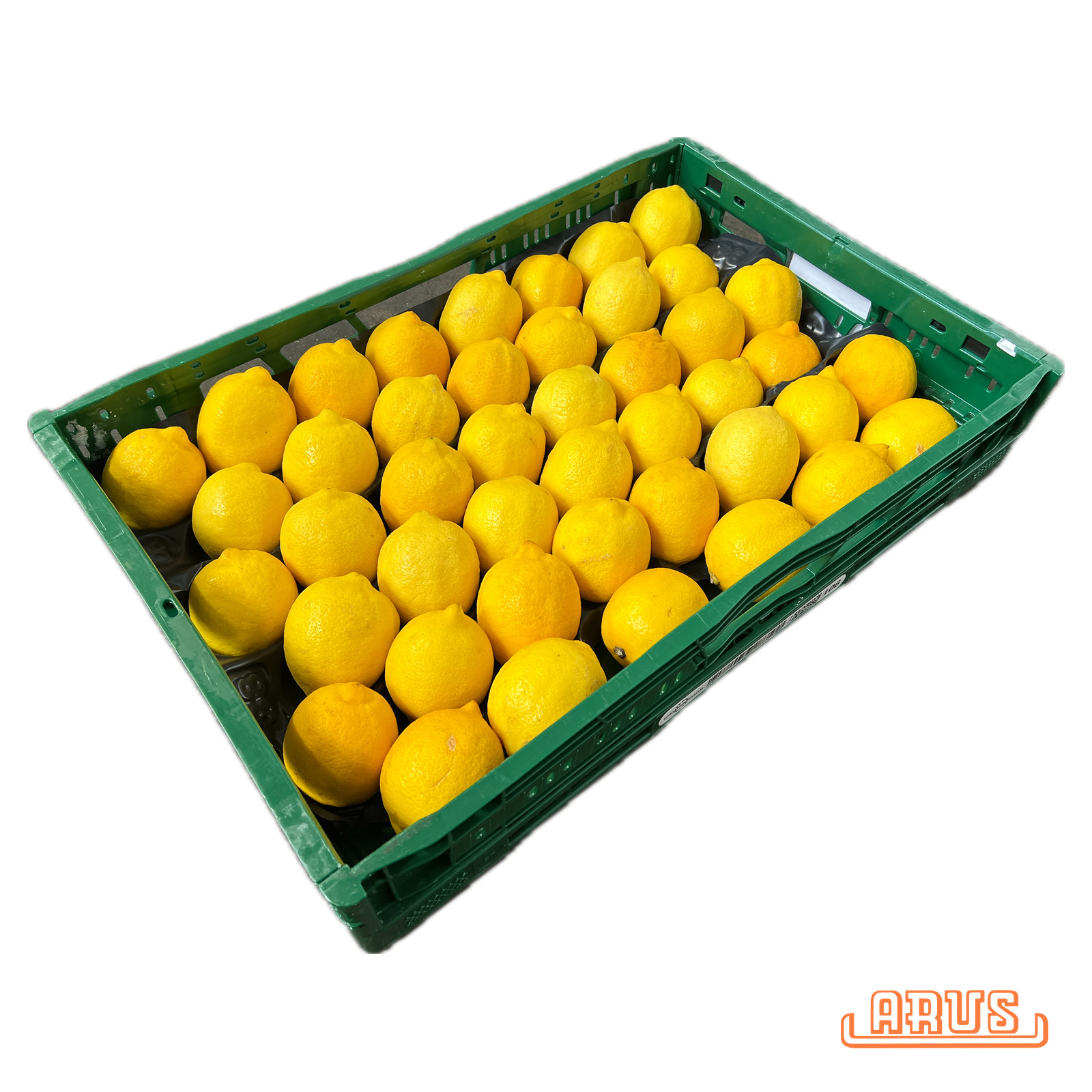 Zitronen "Primofiori, gelegt" 39er 7,5kg