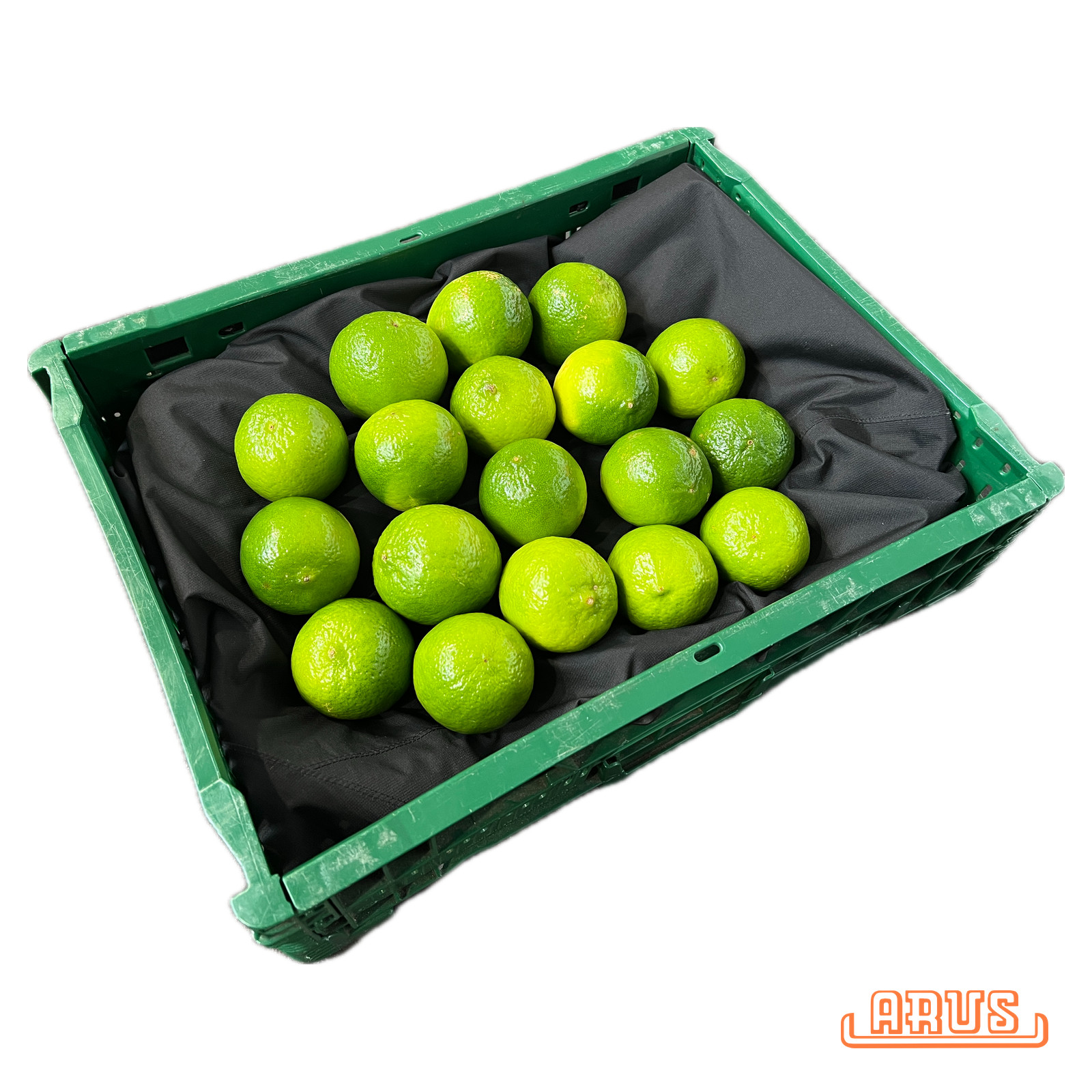 Limetten "sog. persische oder Tahihi-Limes" 18er - brasil. -