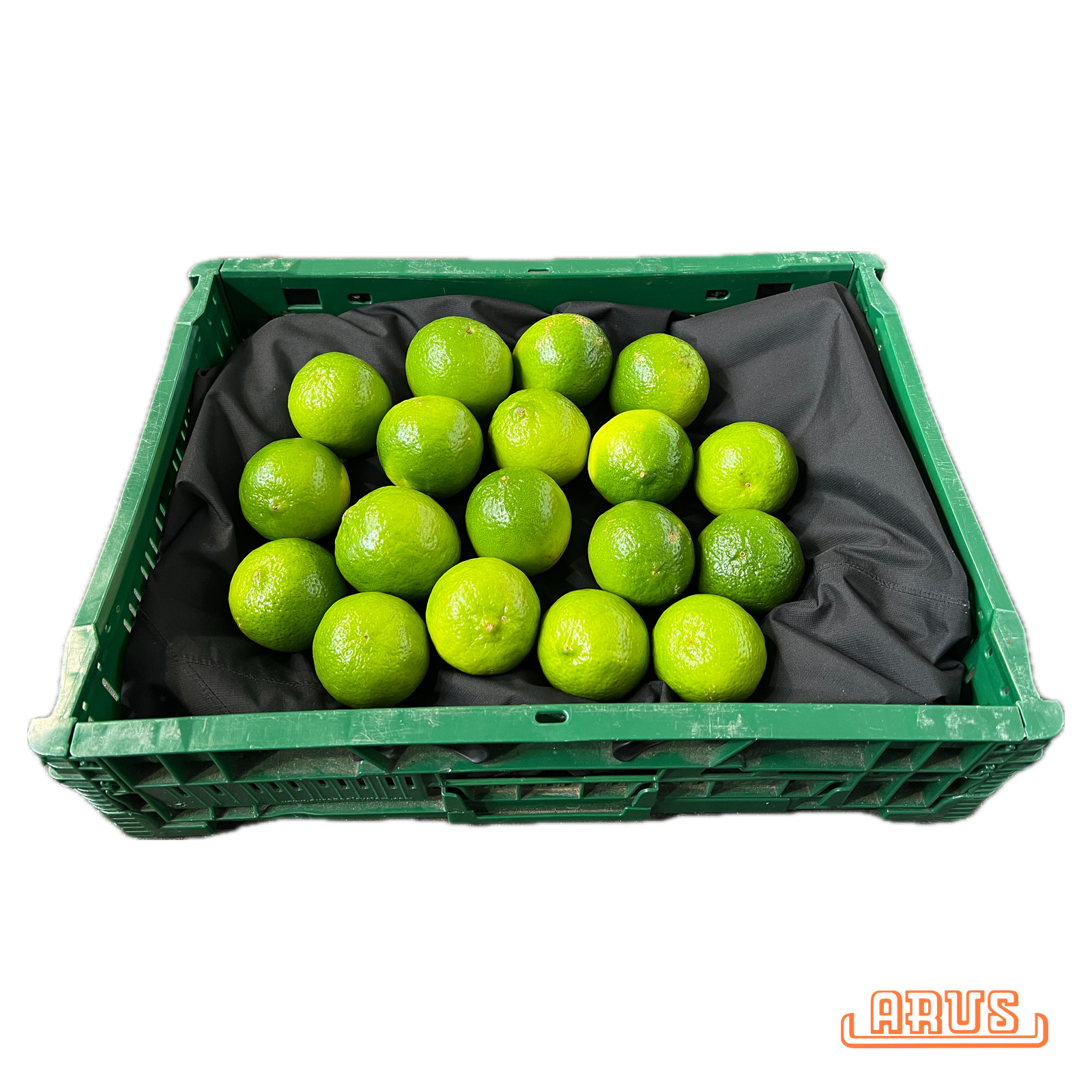 Limetten "sog. persische oder Tahihi-Limes" 18er - brasil. -