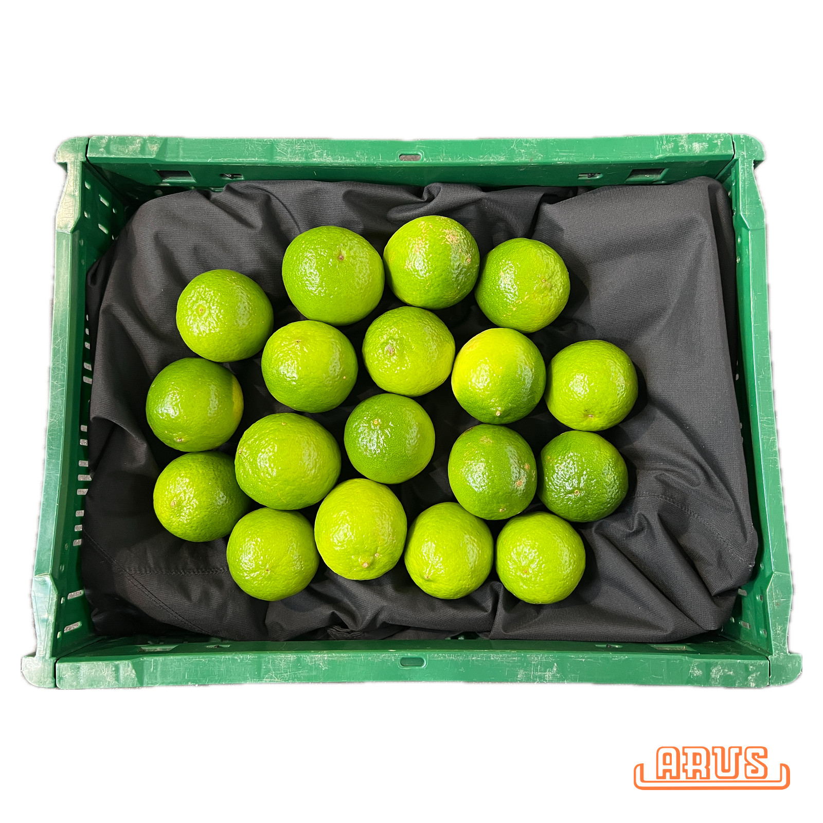 Limetten "sog. persische oder Tahihi-Limes" 18er - brasil. -