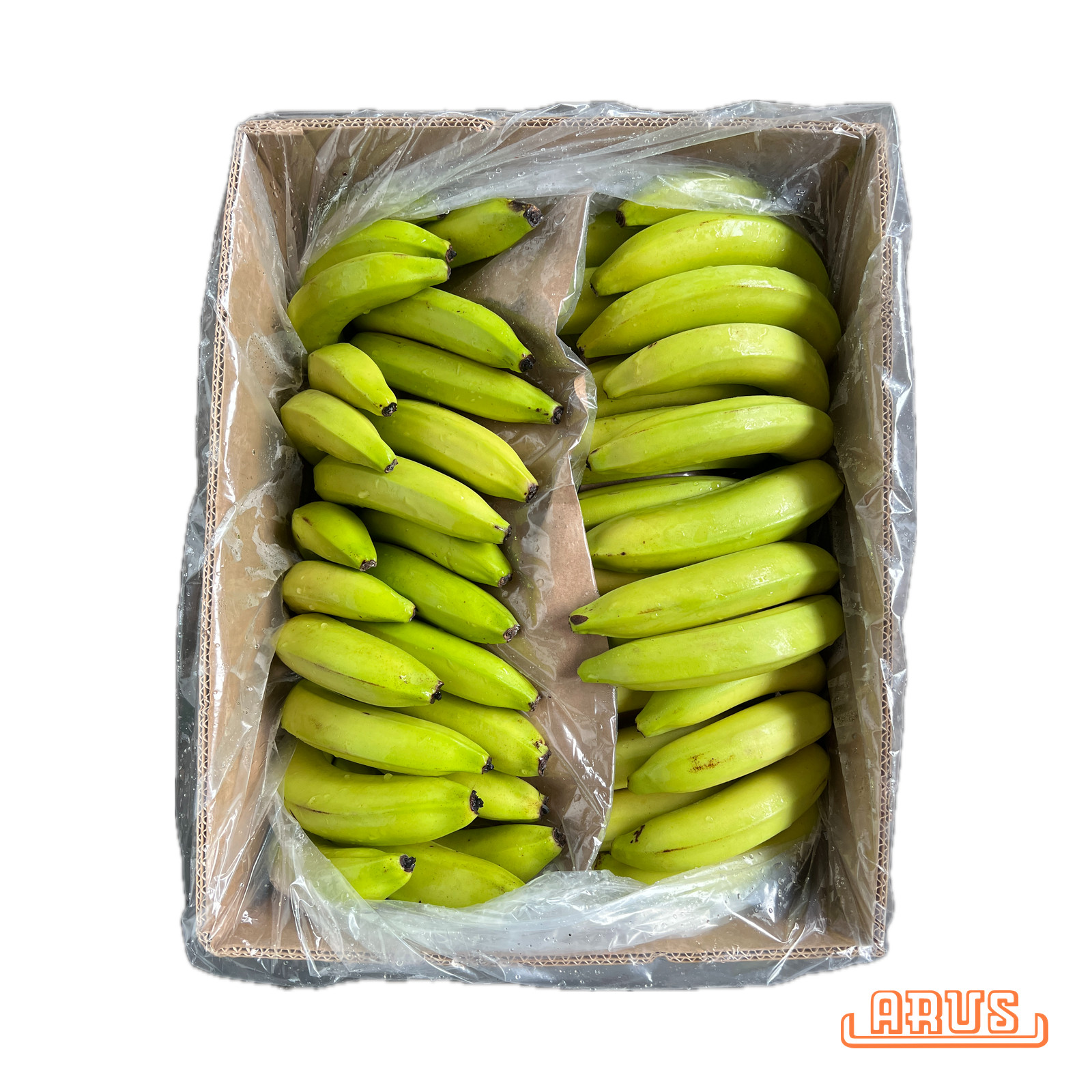 Bananen "Banamigo" 18,14kg