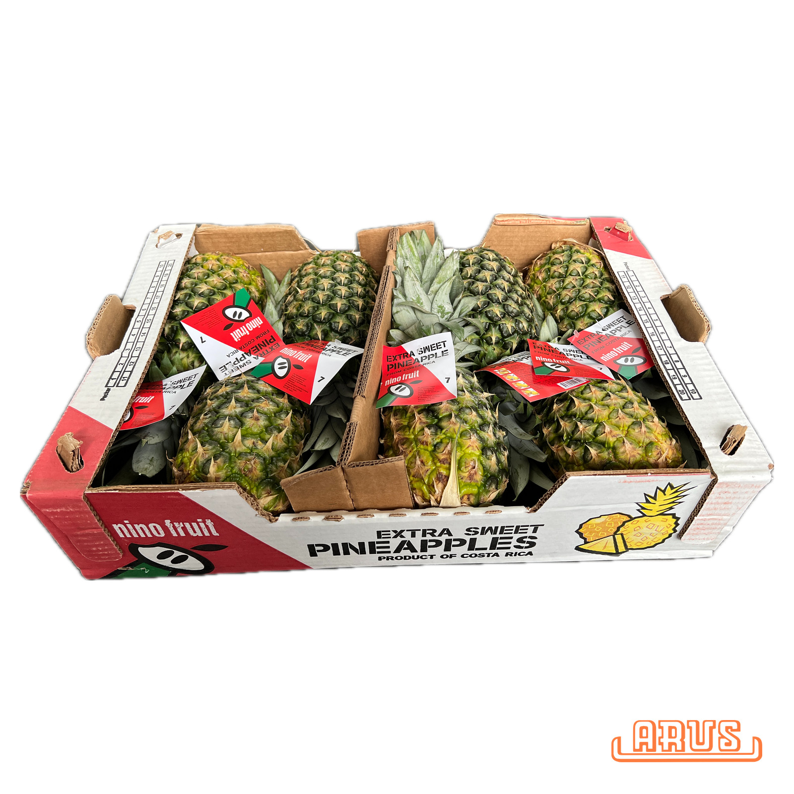 Sweet-Ananas "Nino" 7er