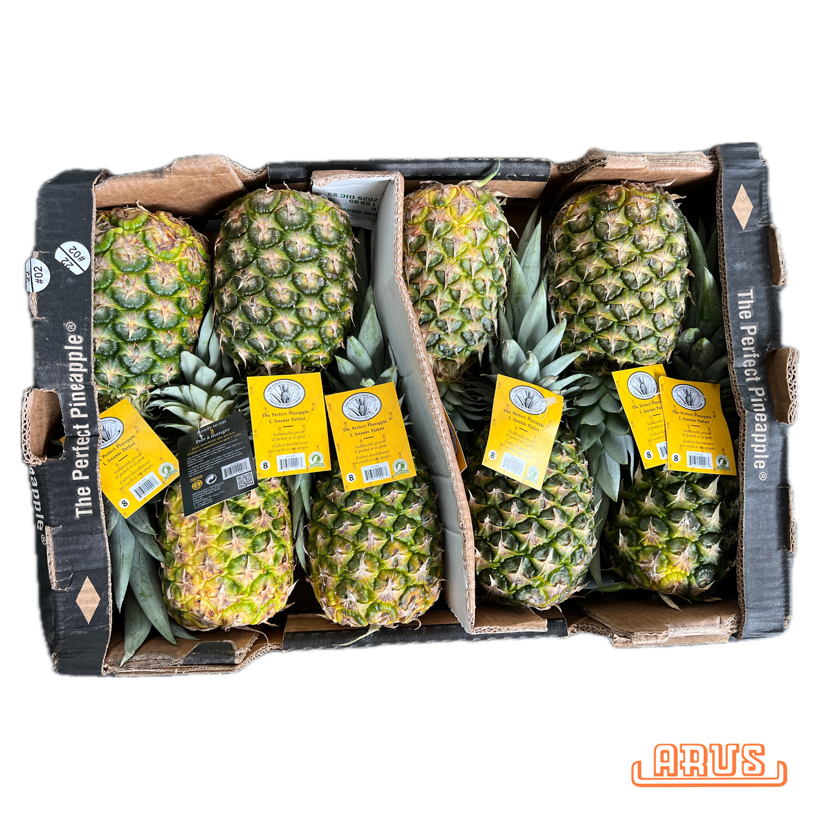 Sweet-Ananas "Chestnut Hill, Extra Sweet" 8er