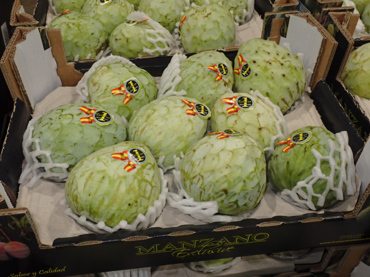 Cherimoya 9er