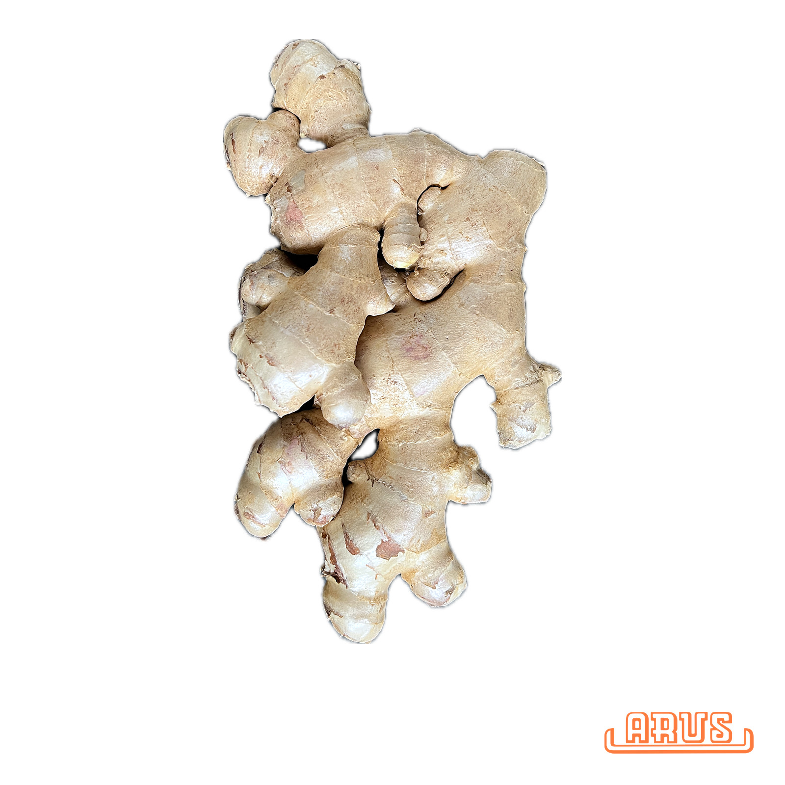 Ingwer "lose" - per kg -