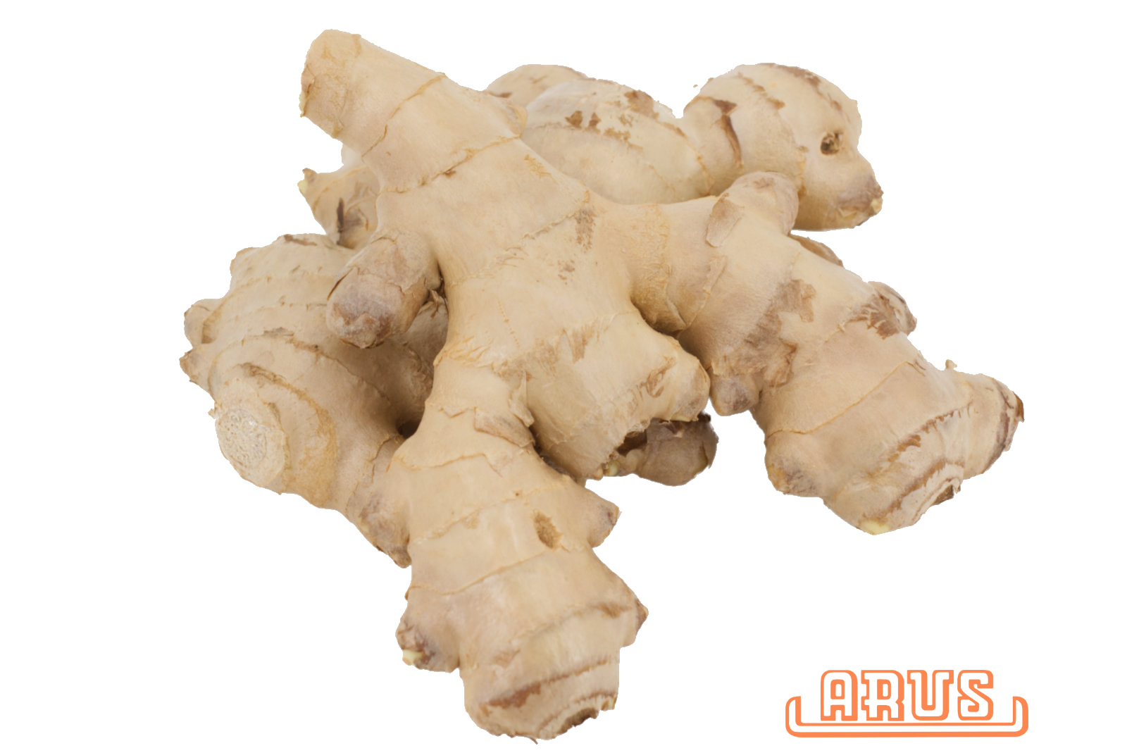 Ingwer "lose" - per kg -