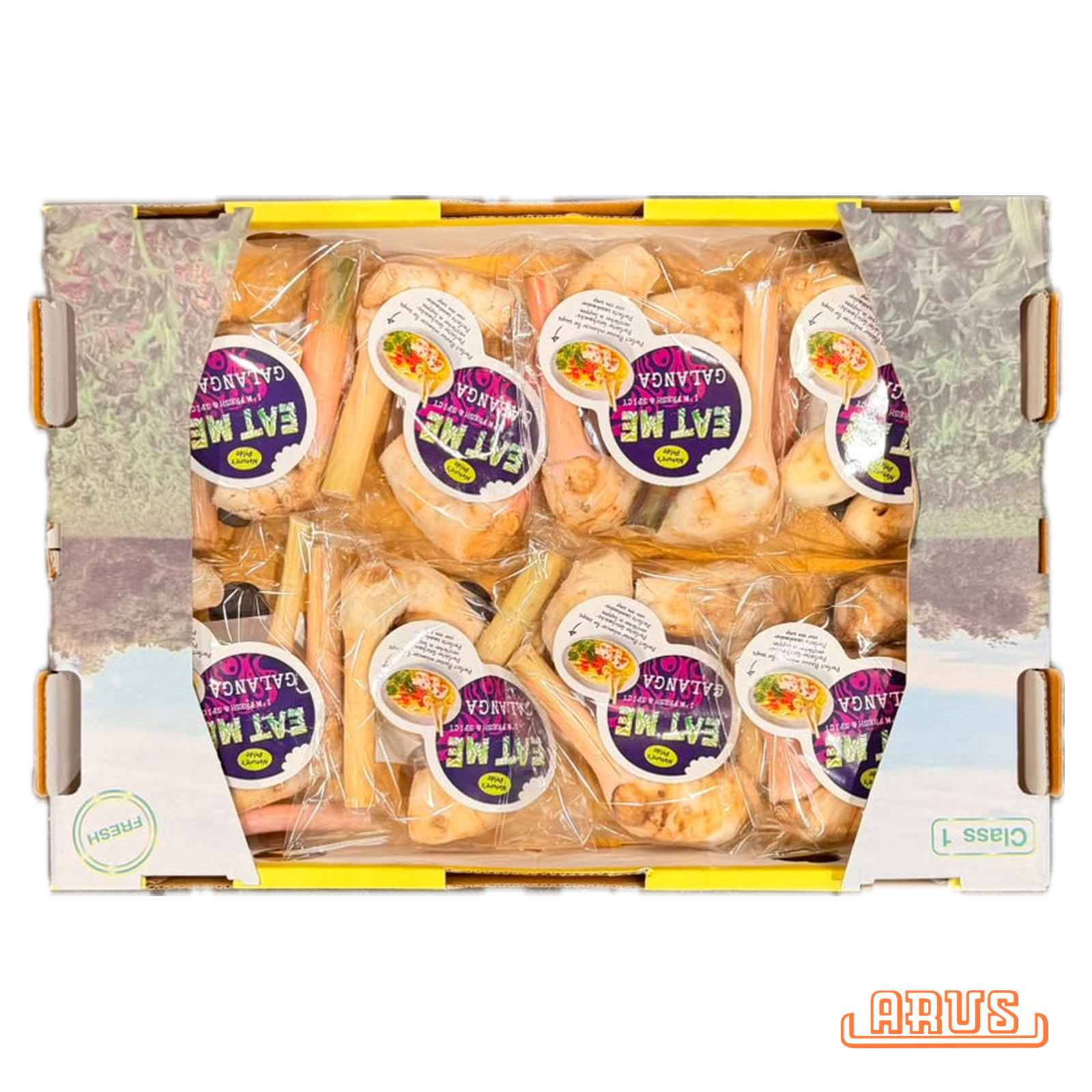 Galangawurzel "junger Thai-Ingwer, gepackt" 8x125g