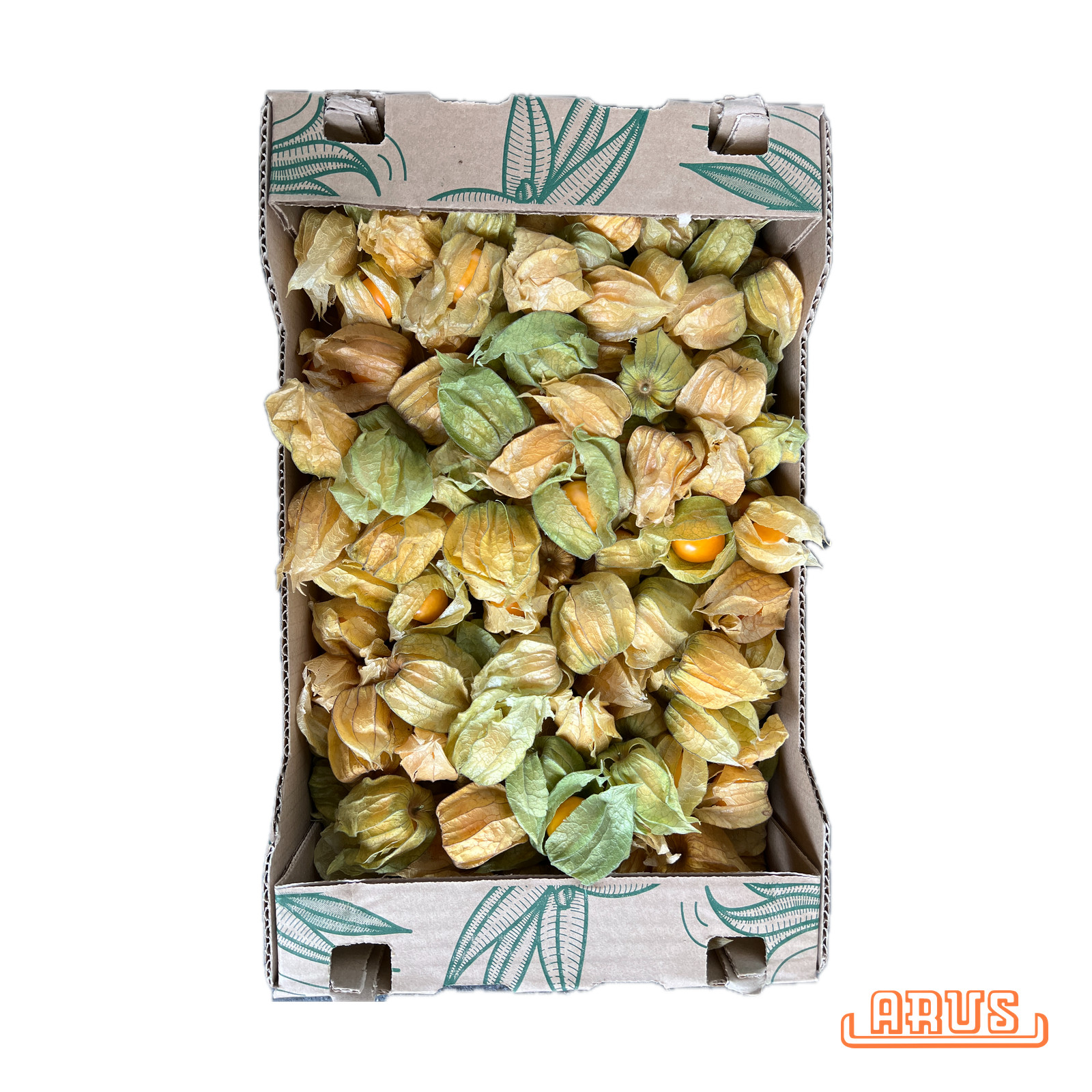 Physalis 1,0kg - lose -