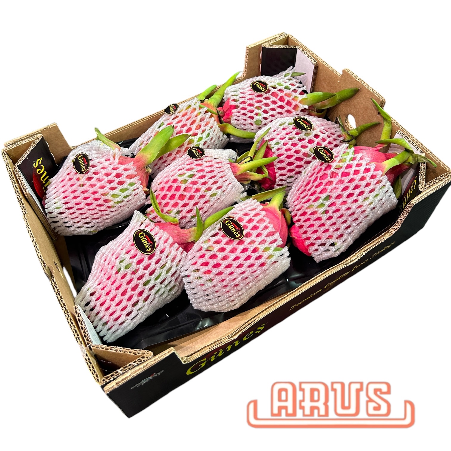 Pitahaya "Drachenfrucht, rot/weiss" 8er