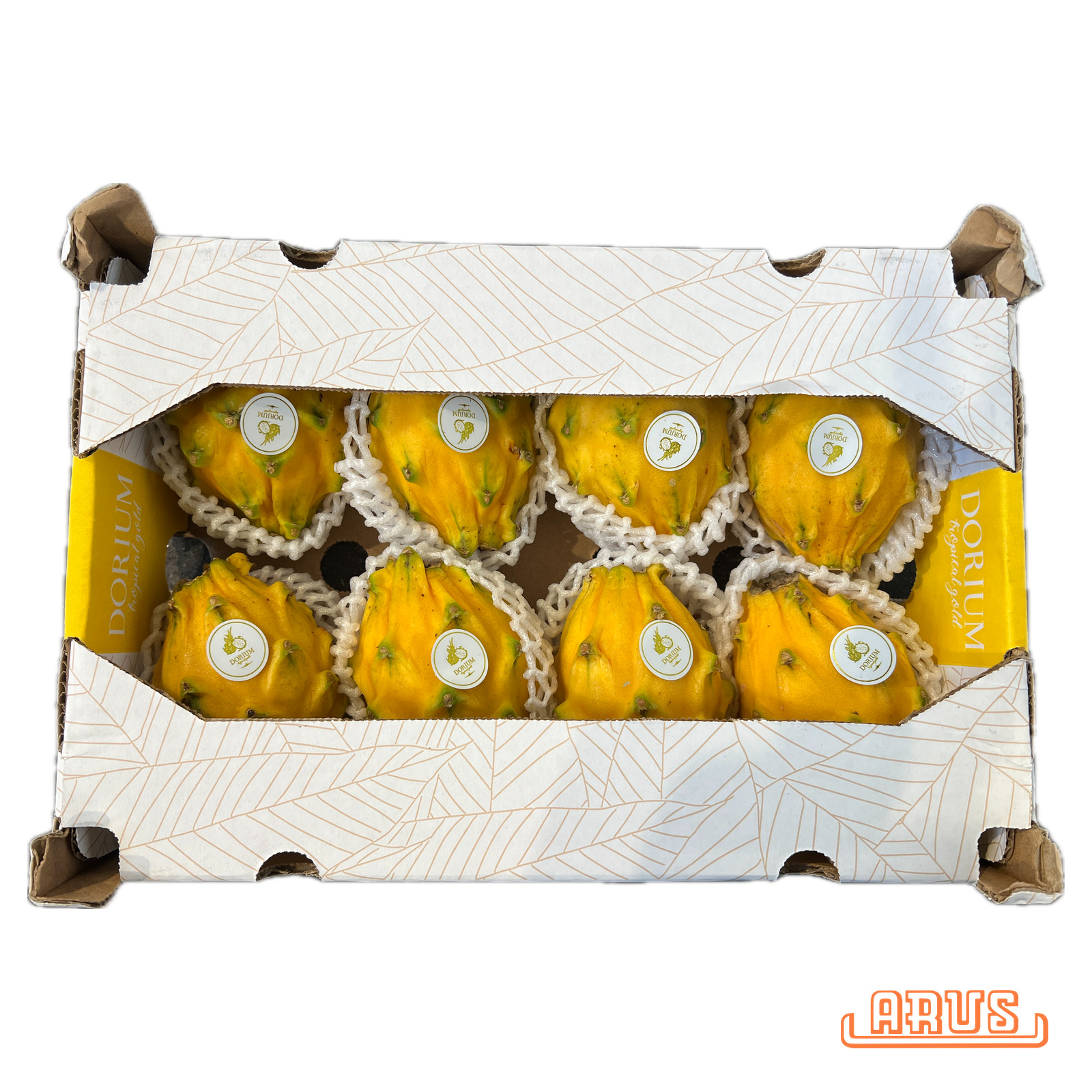 Pitahaya "Drachenfrucht, gelb" 10er