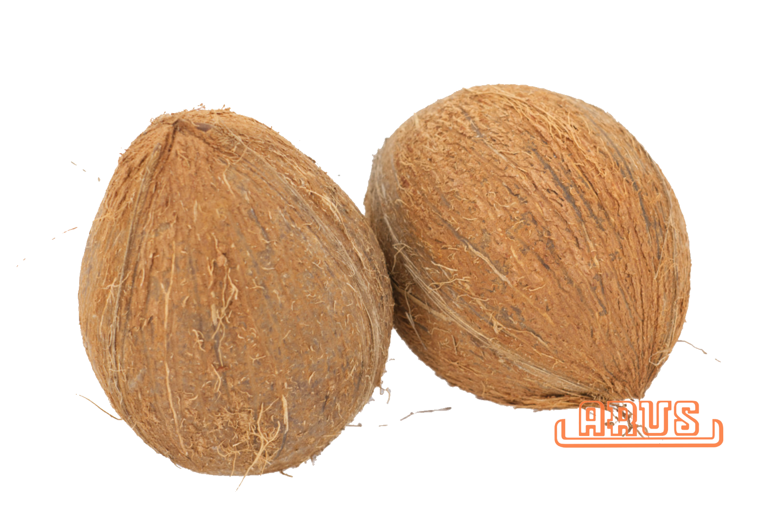 Kokosnüsse - STÜCK -