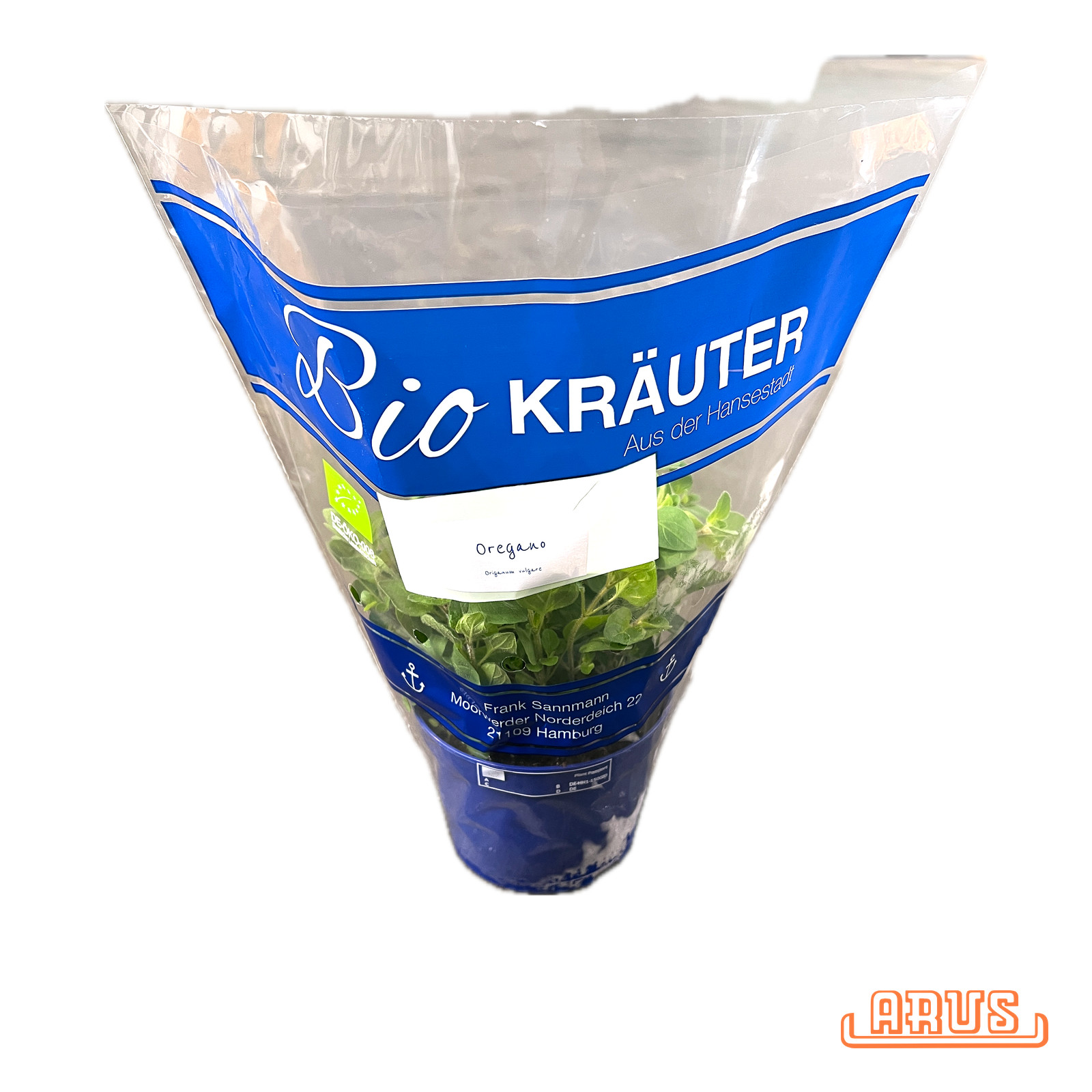 BIO Töpfe Oregano, 13cm