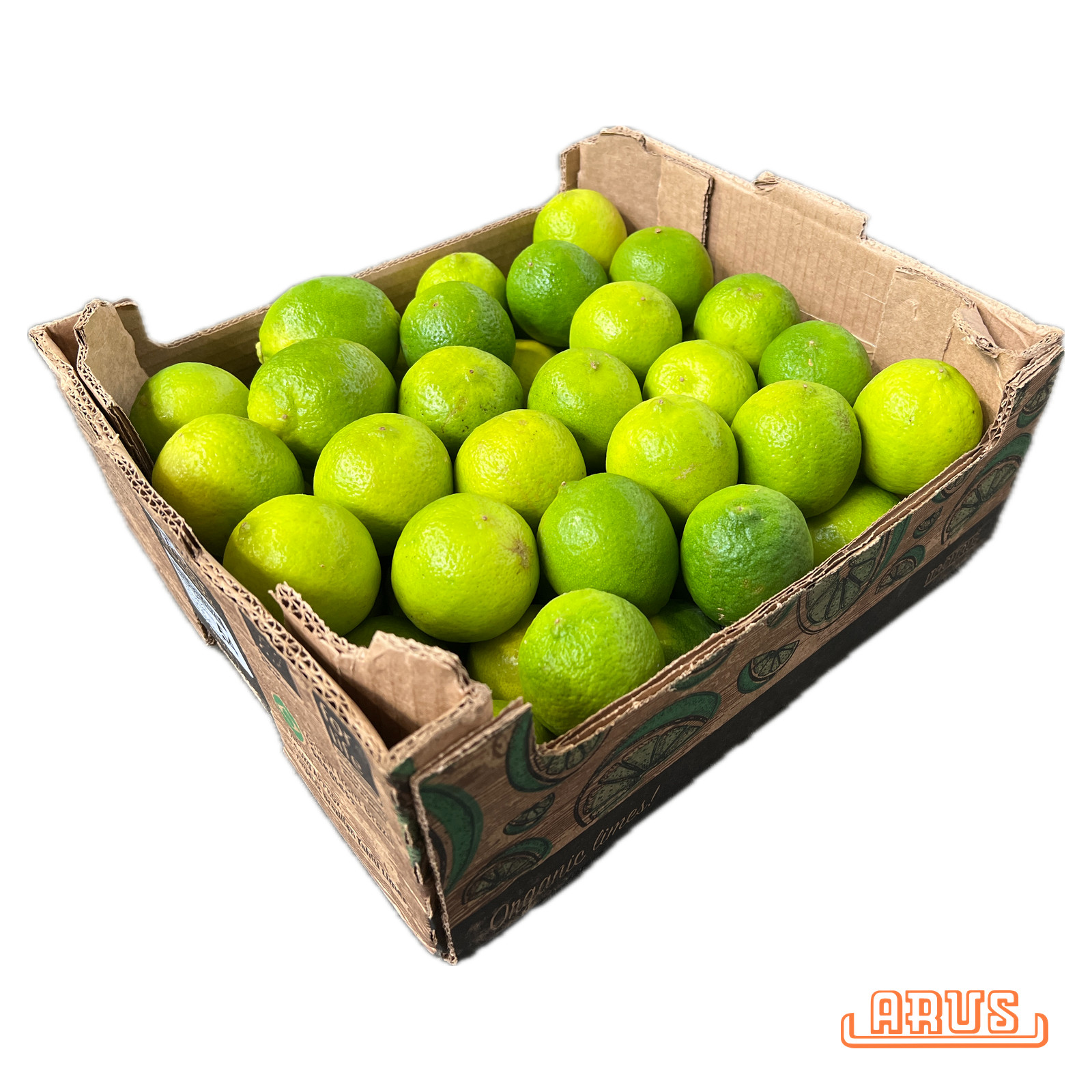 Bio Limetten 54er 4,0kg