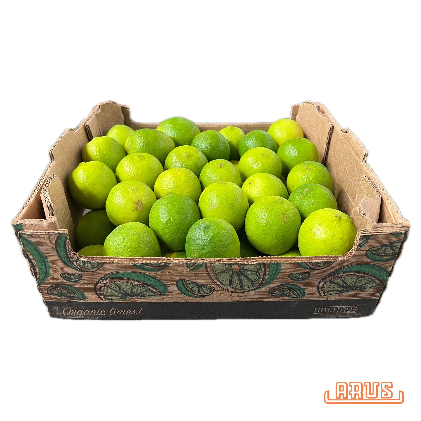 Bio Limetten 54er 4,0kg