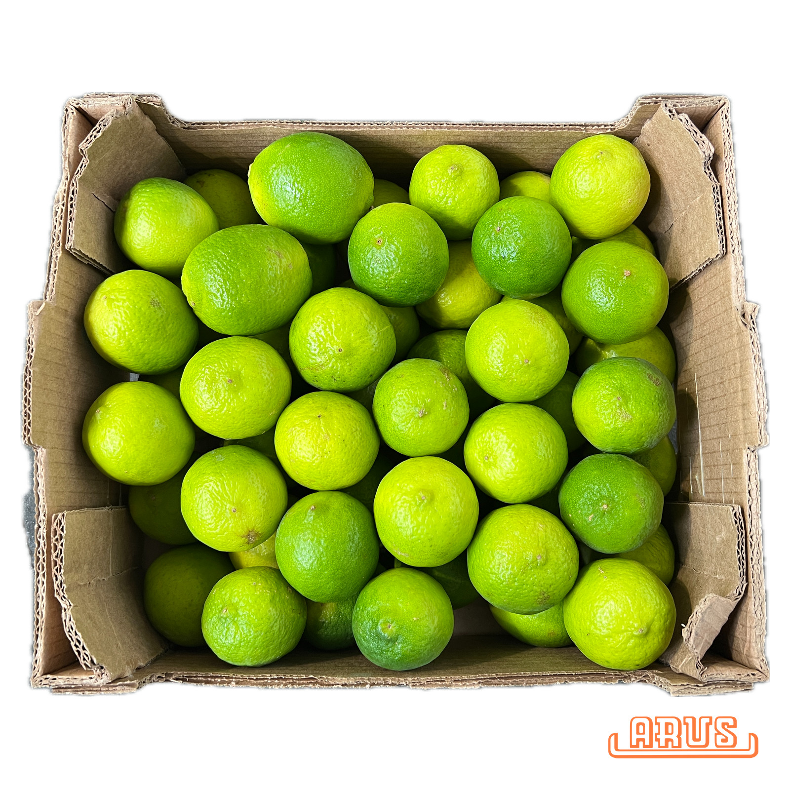 Bio Limetten 54er 4,0kg
