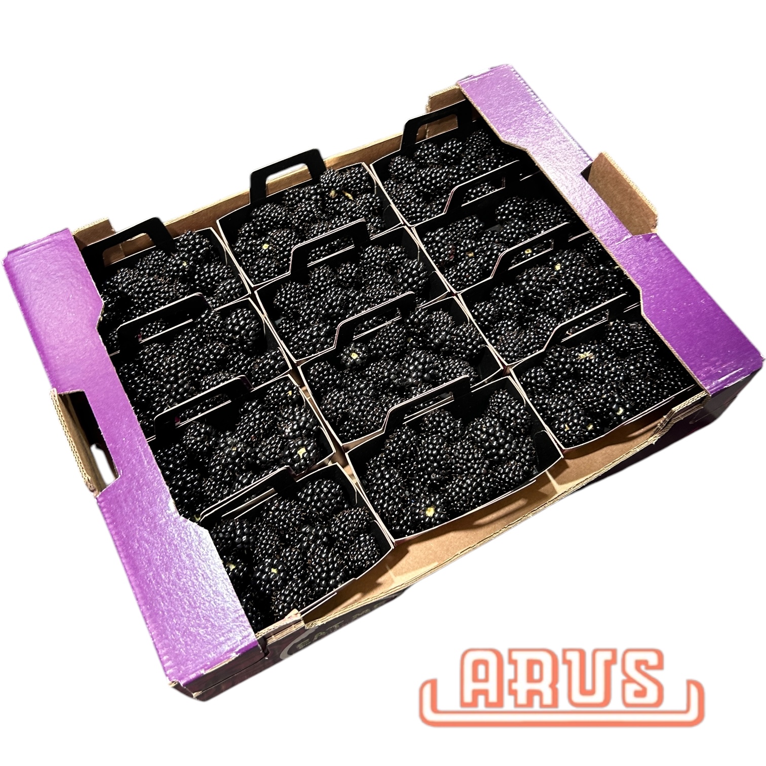 Brombeeren 12x125g -mex.-