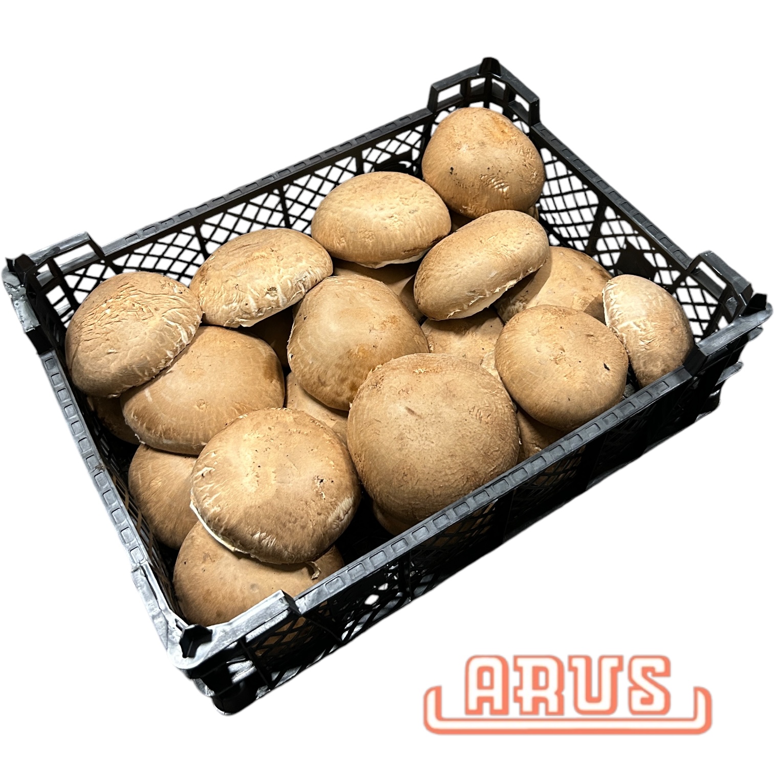 Portobello "Riesenchampignon braun" 2kg