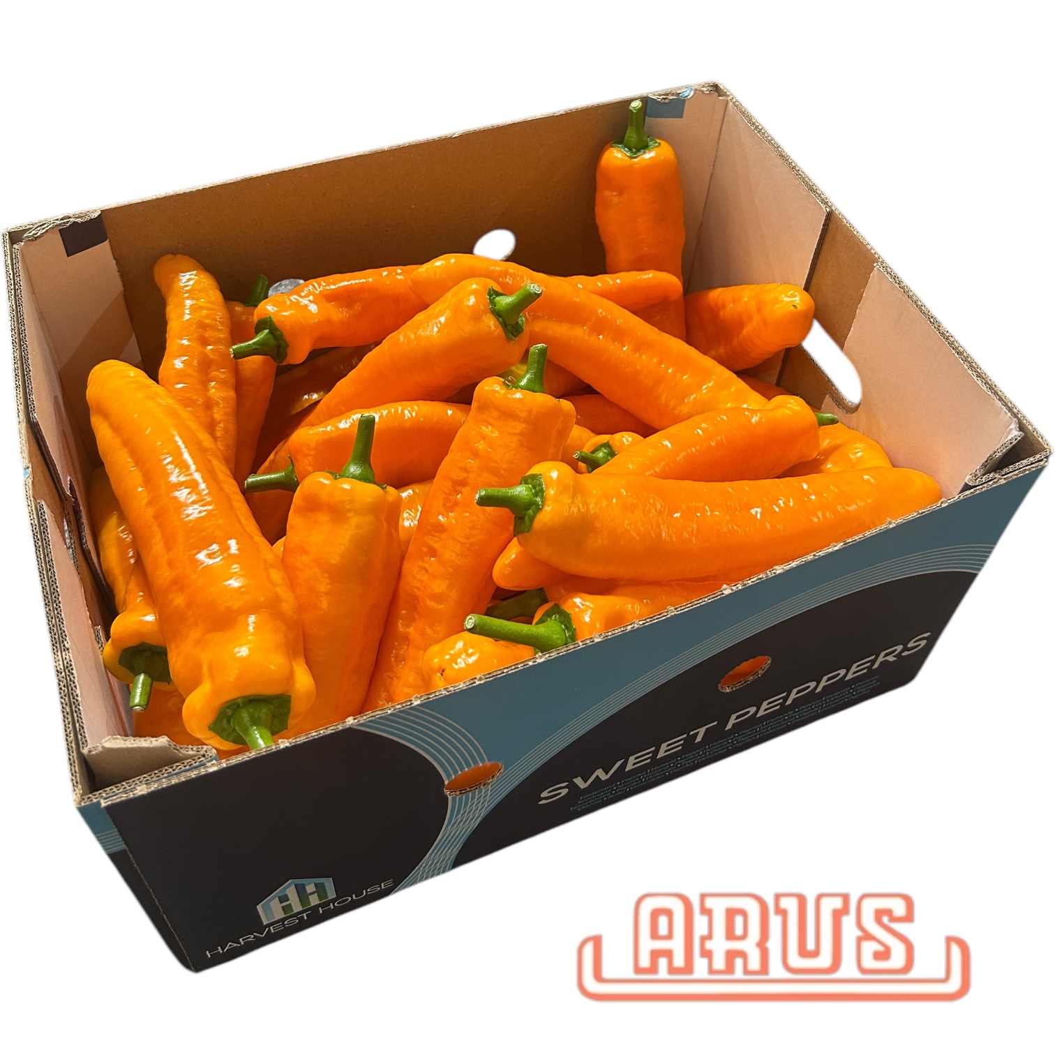 Paprika "orange" SPITZ 4kg - niederl. -