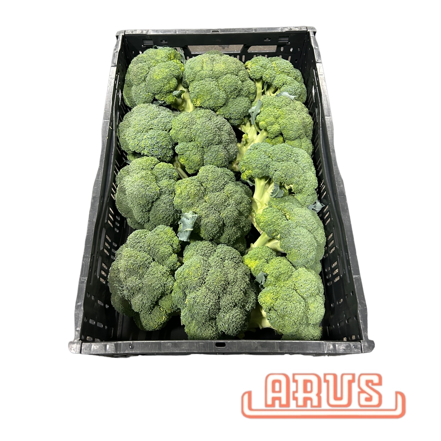 Broccoli "lose " 6kg - niederl. -