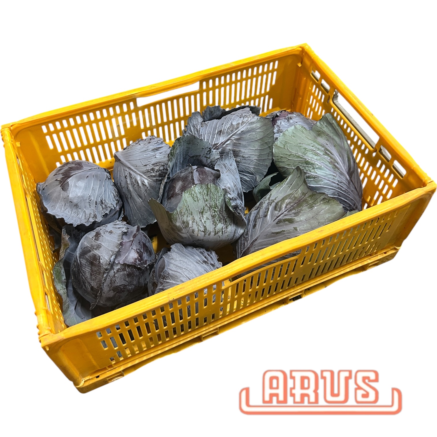 Rotkohl 10kg neuer
