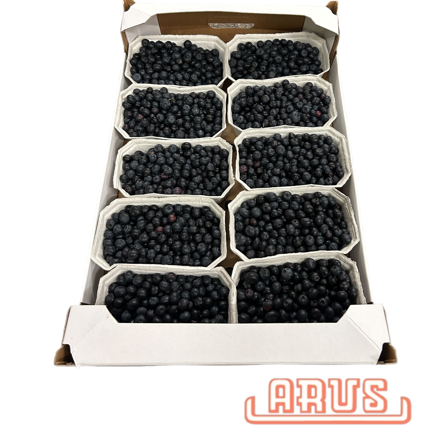 Gartenblaubeeren 10 x 500g -dtsch.-