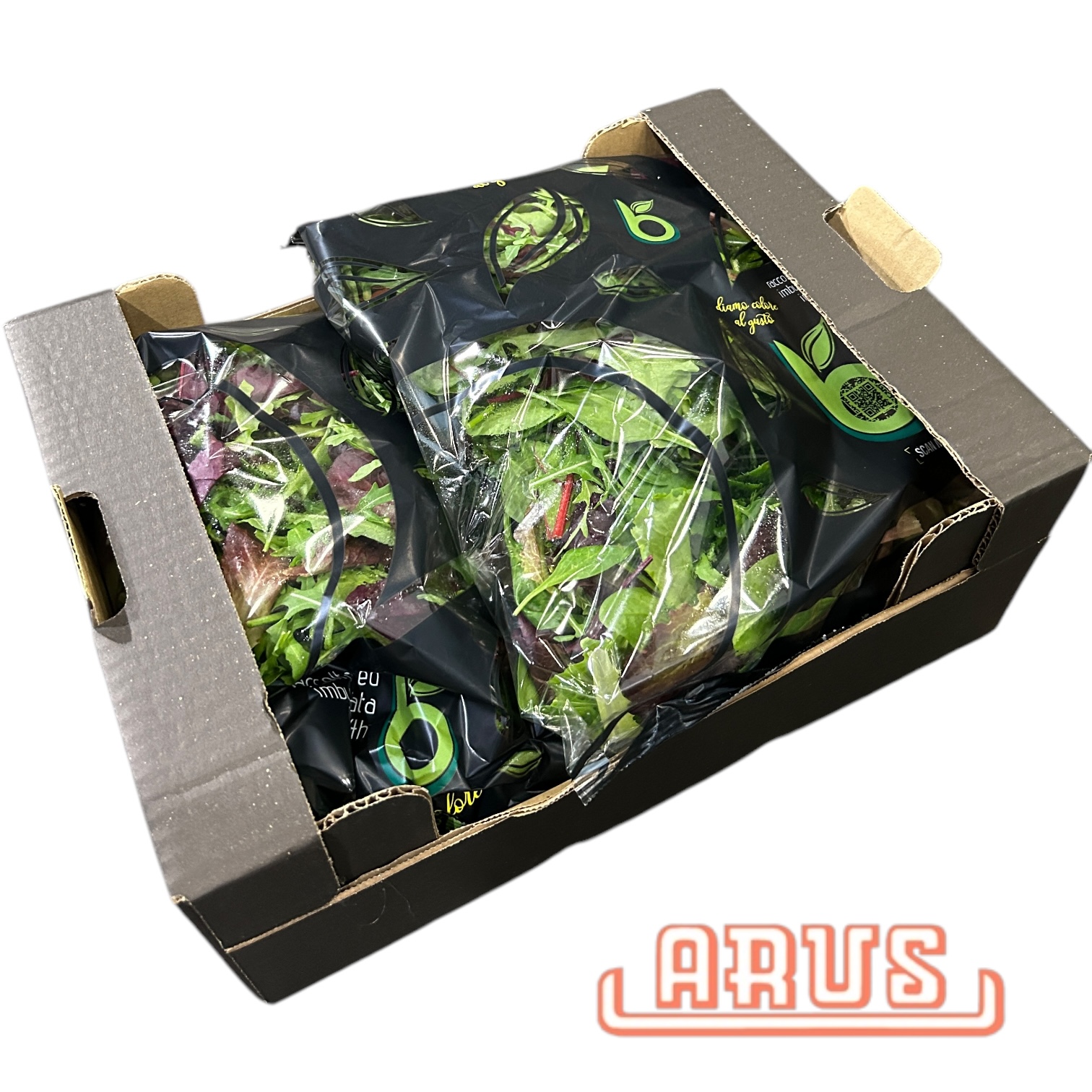 Mix Salat "Pflücksalat" 2x500 - Flowpack/Karton -