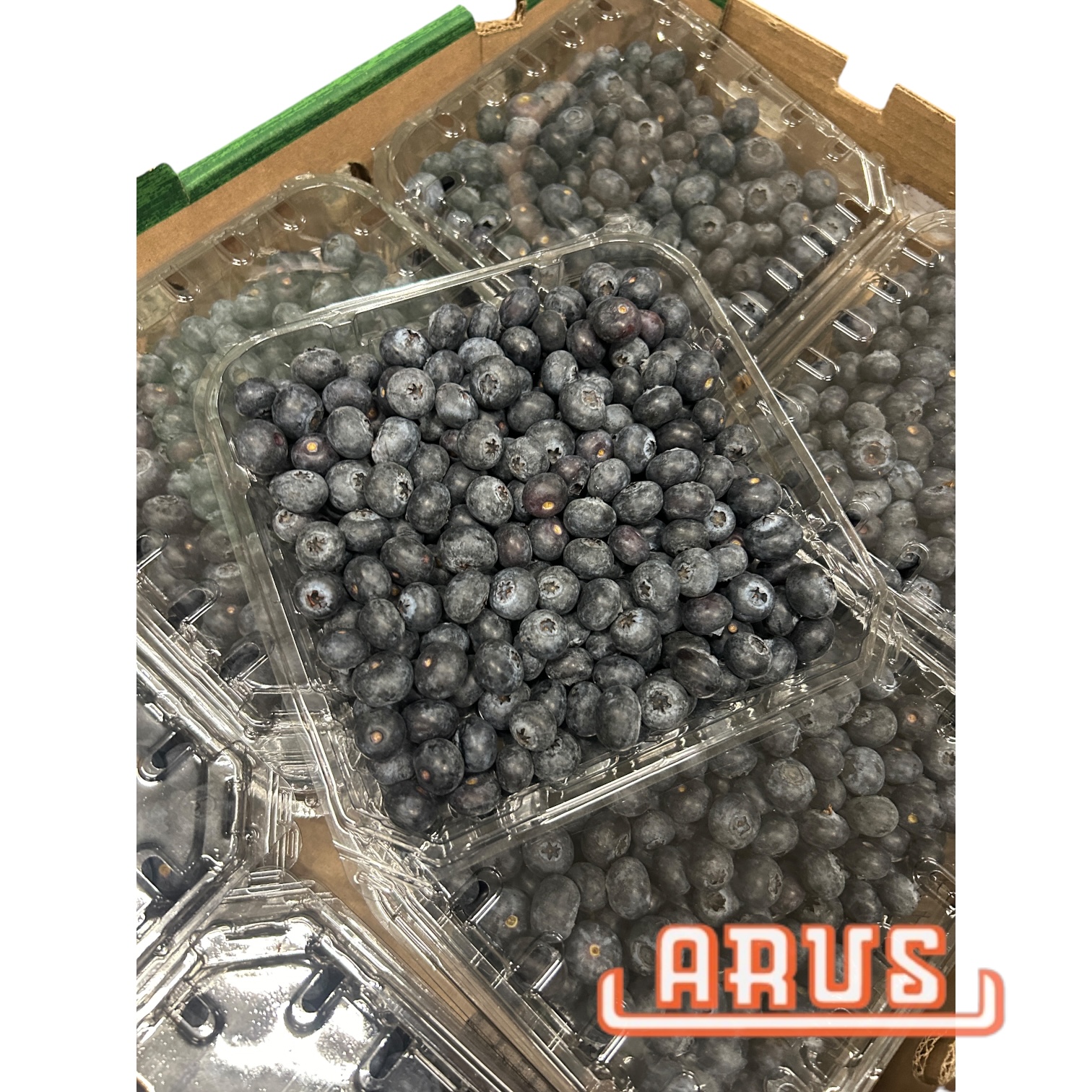 Gartenblaubeeren 12 x 400g -peru.-