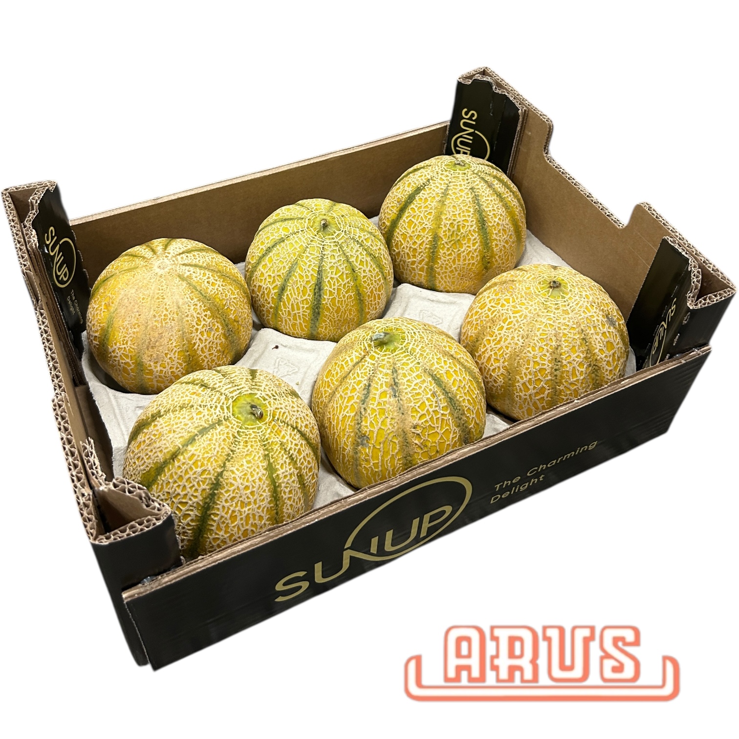 Cantaloupe Melonen 6er - span. -