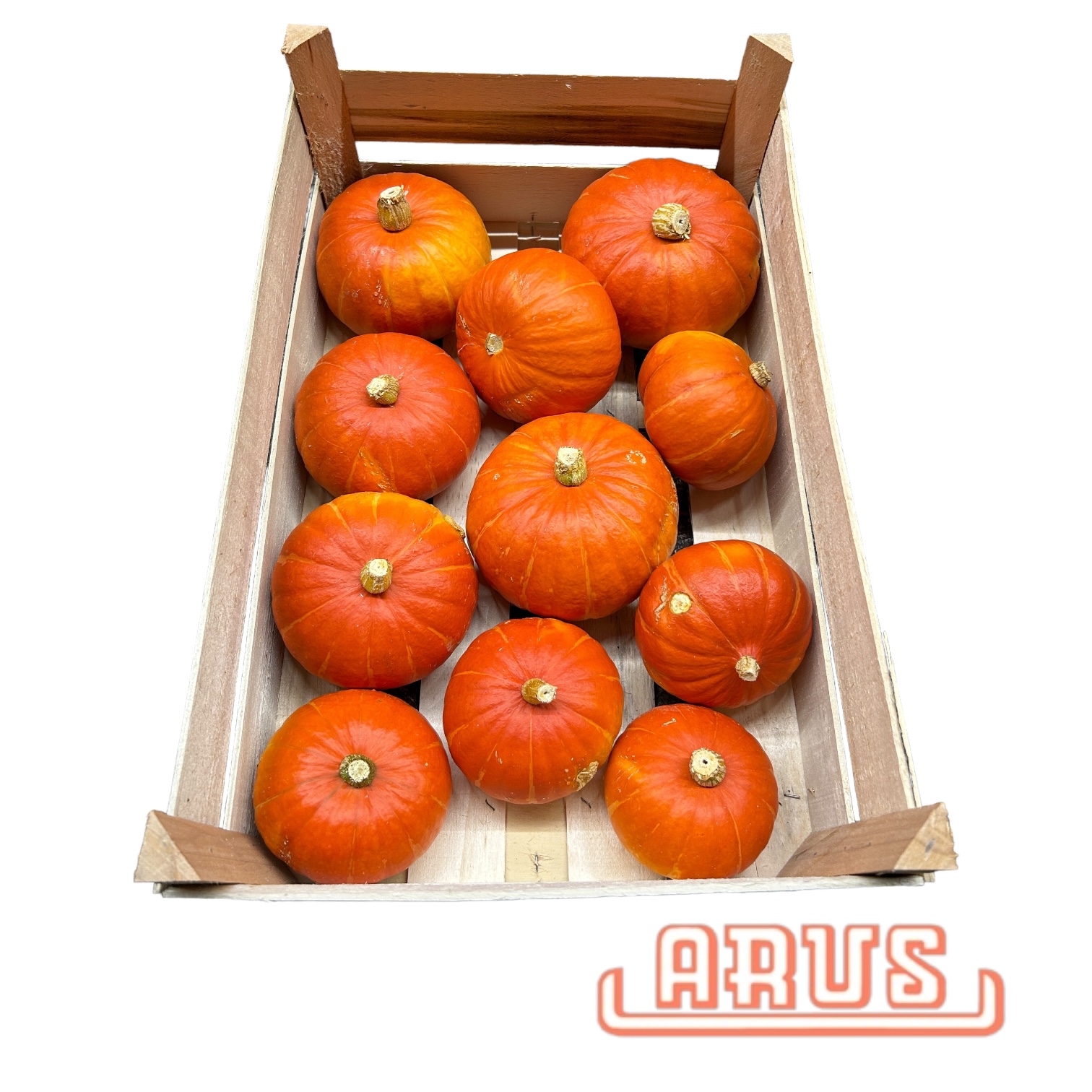 Kürbis Hokaido 12kg - dtsch. -