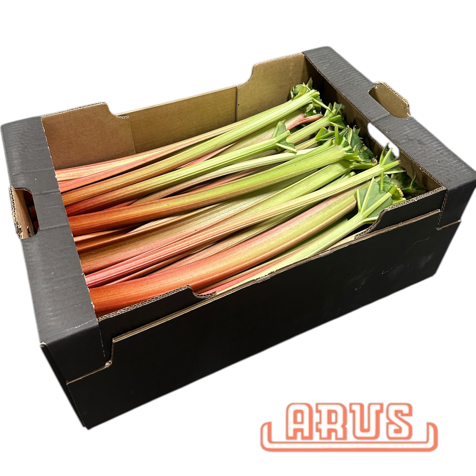 Rhabarber "lang" 10kg - Pool -