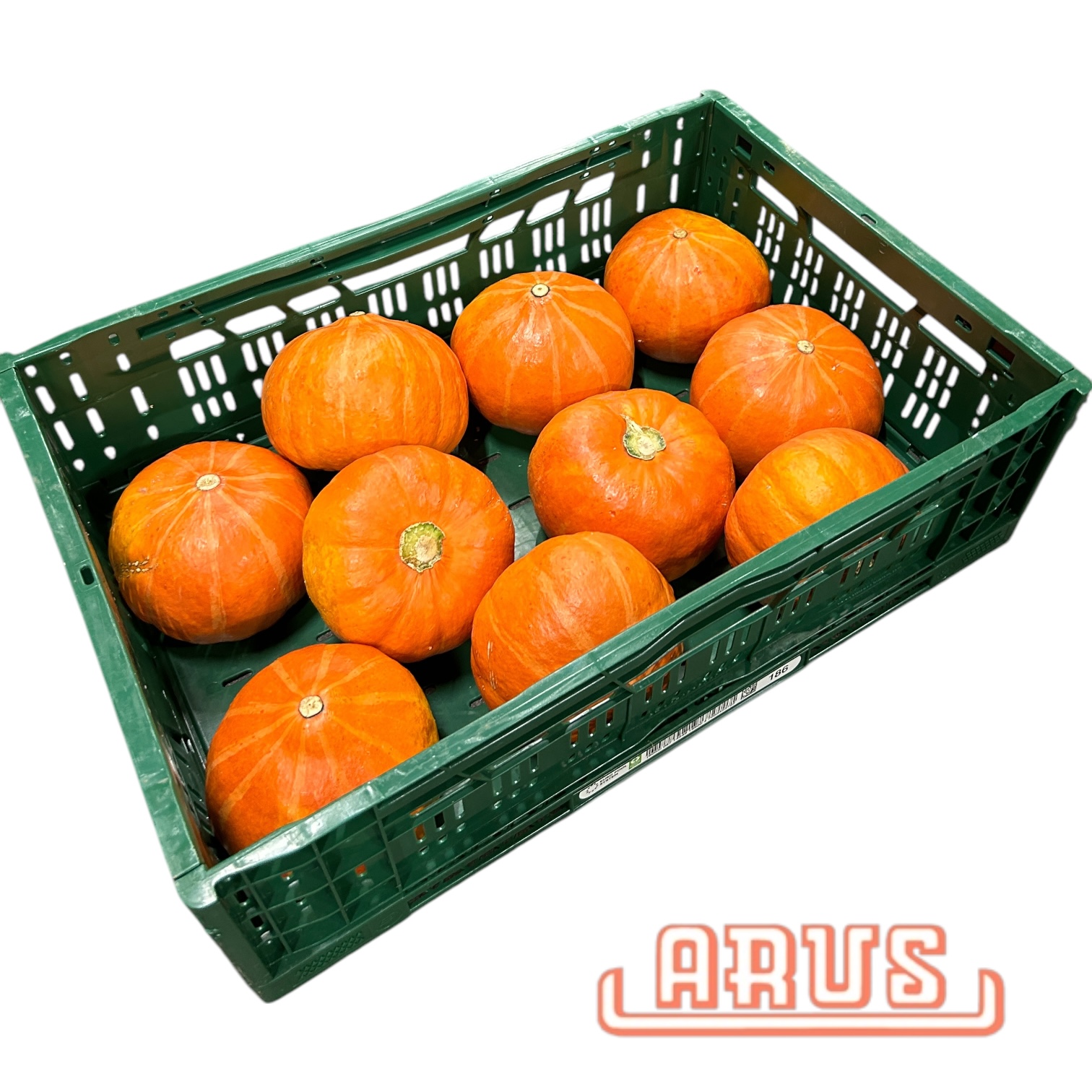 Kürbis Hokaido 10kg - dtsch. -