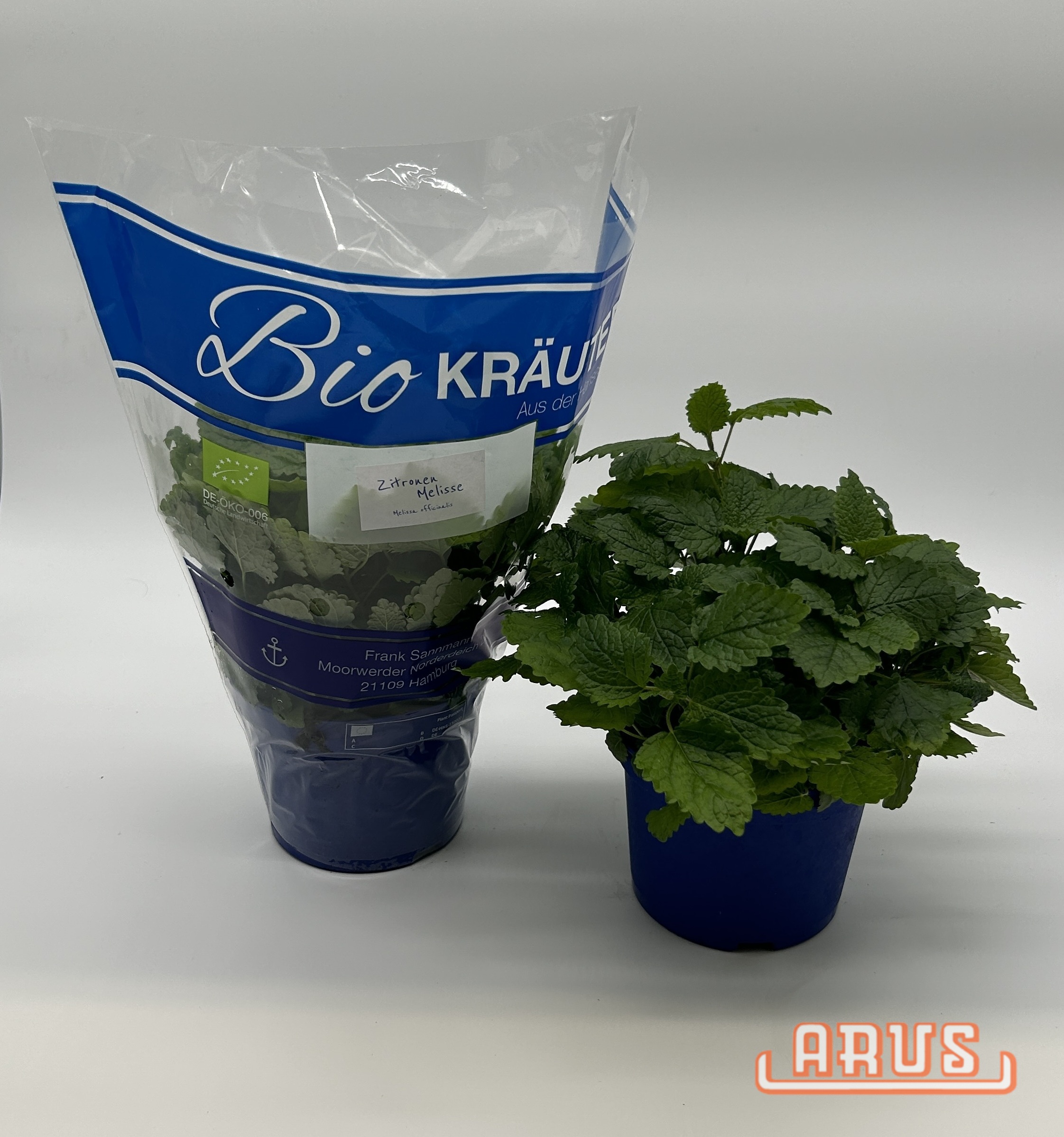 BIO Töpfe Zitronenmelisse, 13cm