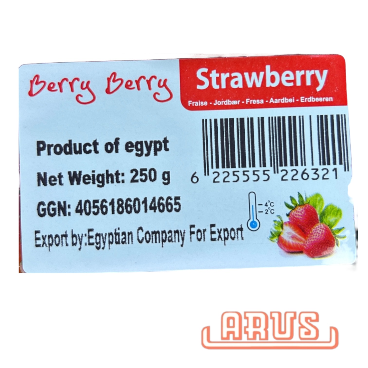 Erdbeeren 10x250g - egyp. -