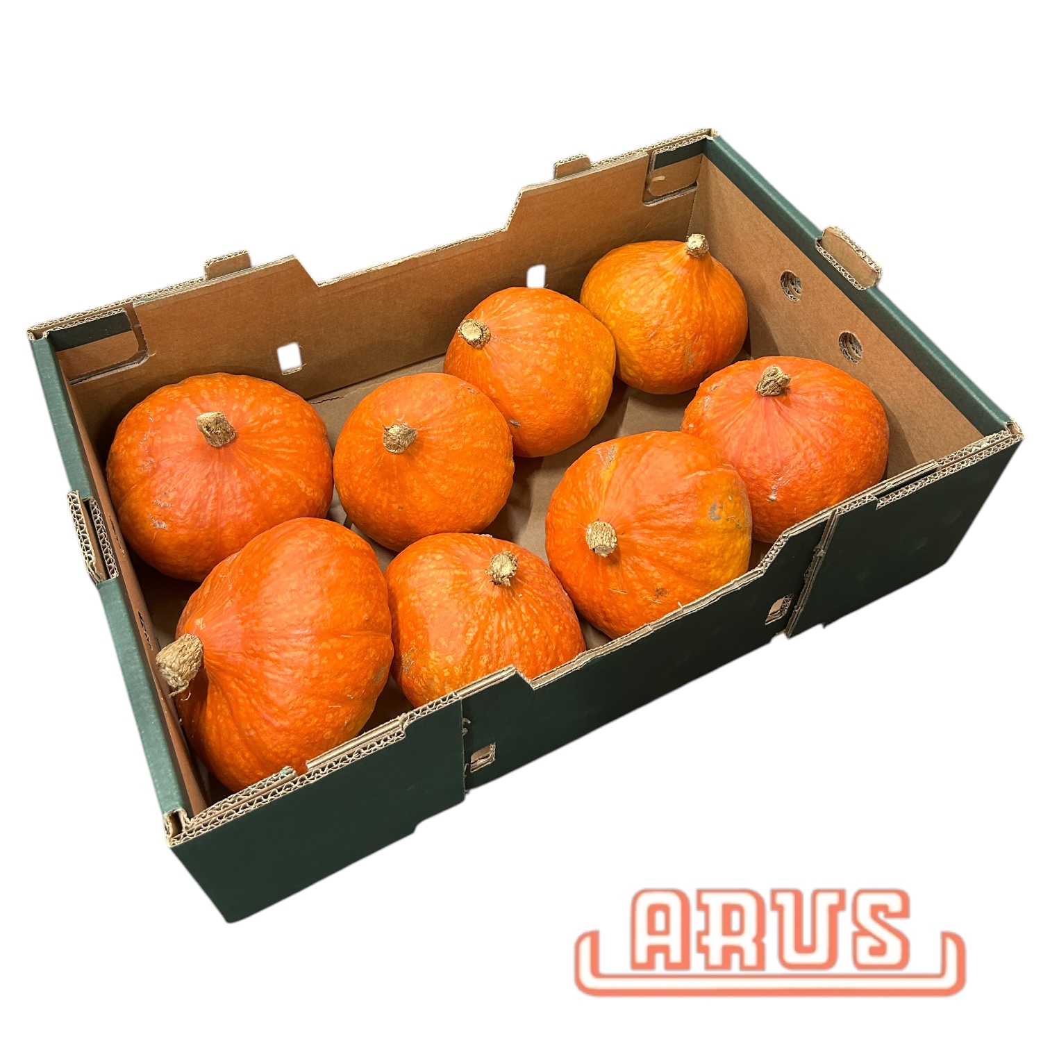 Kürbis Hokaido 10kg - ägypt. -