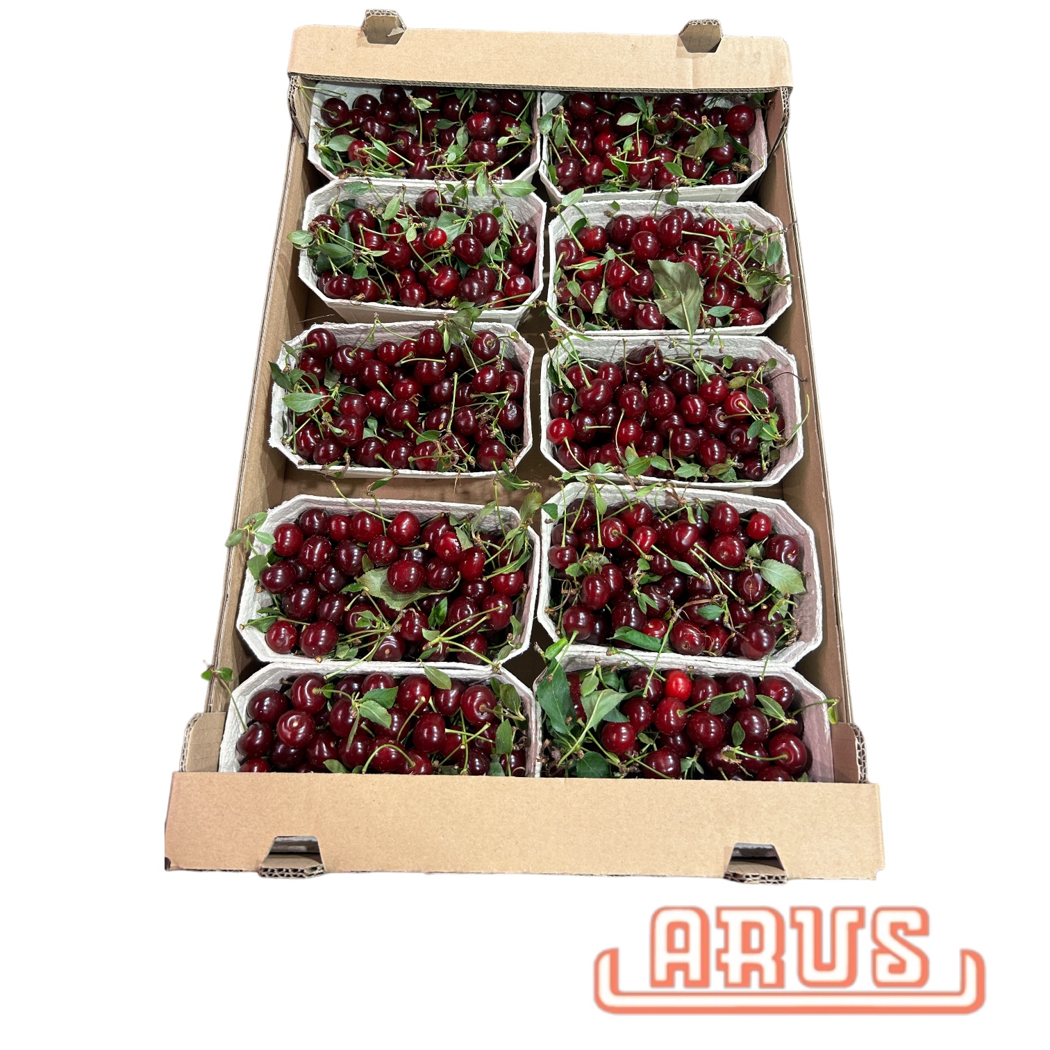 Sauerkirschen 10x500g Schalen -poln.-