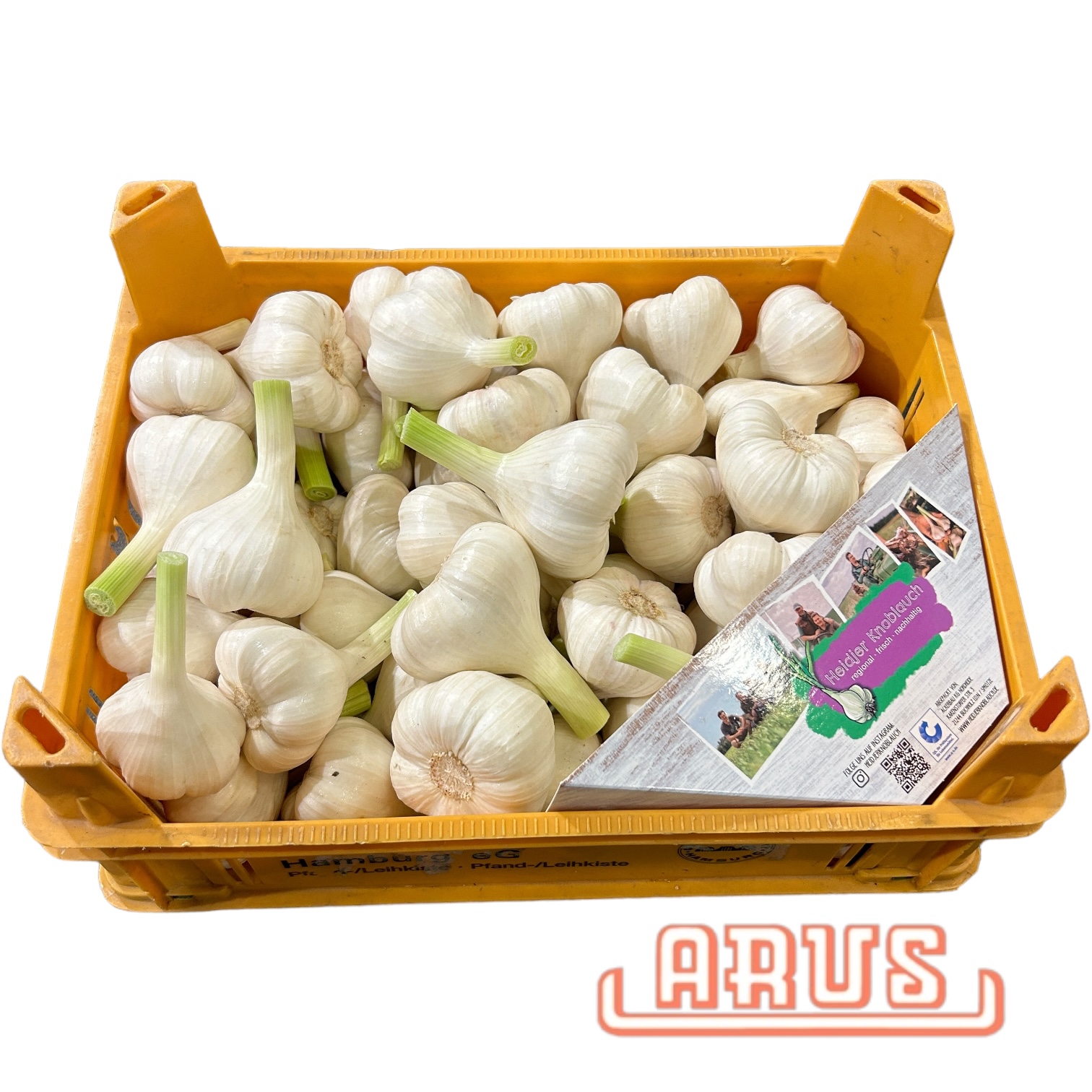 Knoblauch 5kg  "frisch, regional aus der L. Heide" - dtsch./EZG -