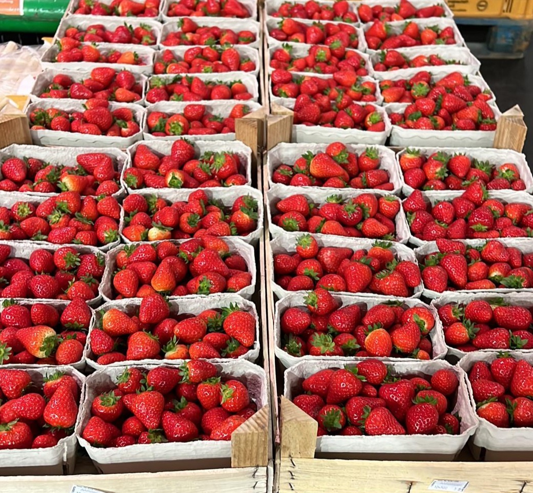 Erdbeeren 10x500g -Winkelm. -