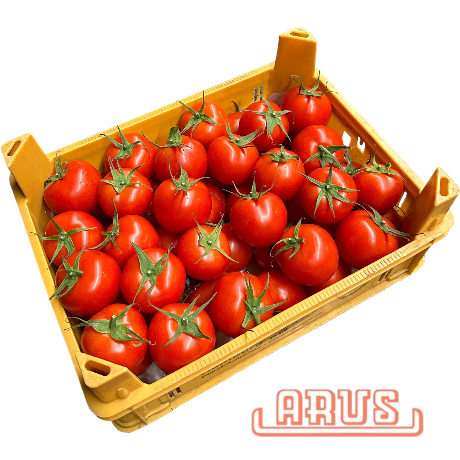 Tomaten "runde" 6kg - Vierländer -