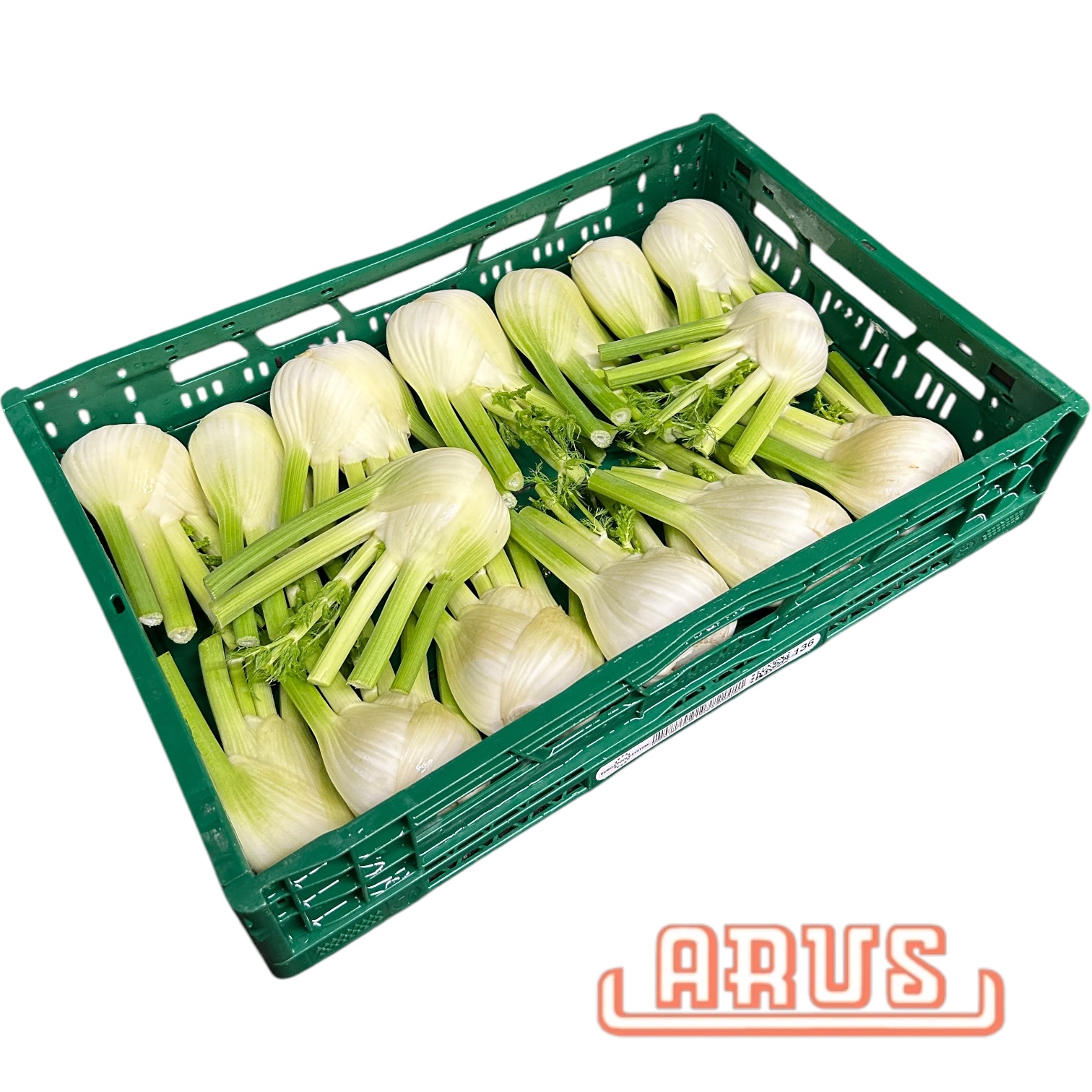 Fenchel 5kg - dtsch. -