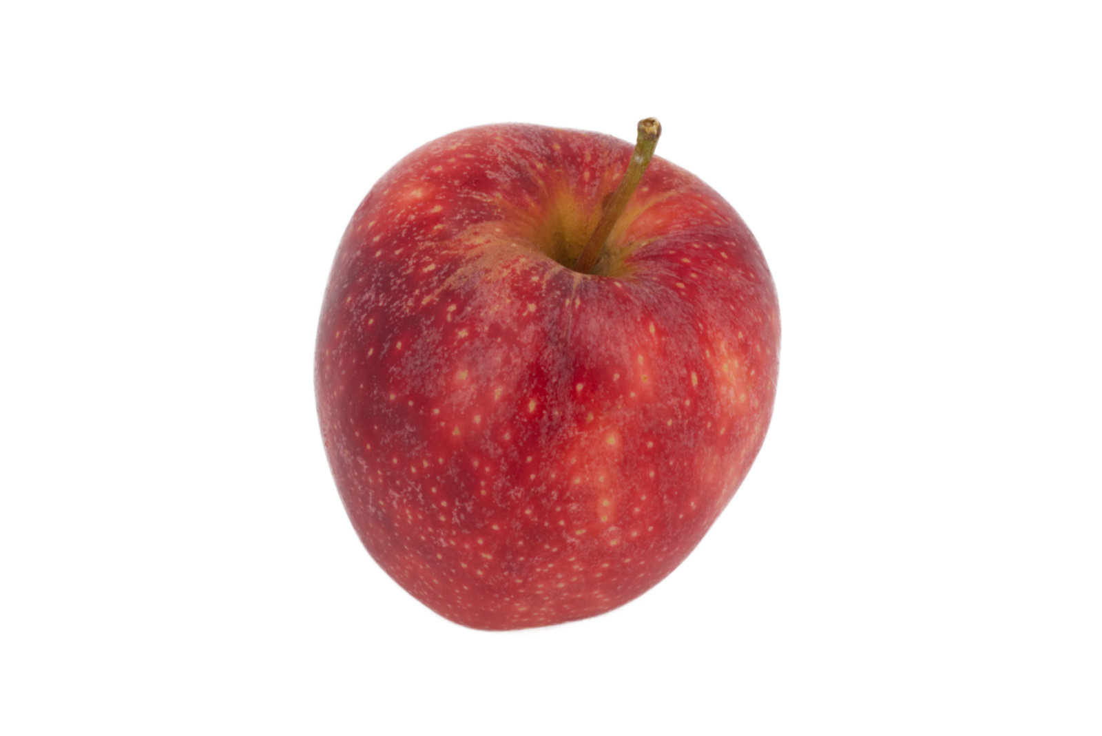 Äpfel Royal Gala 18kg -neusld.-