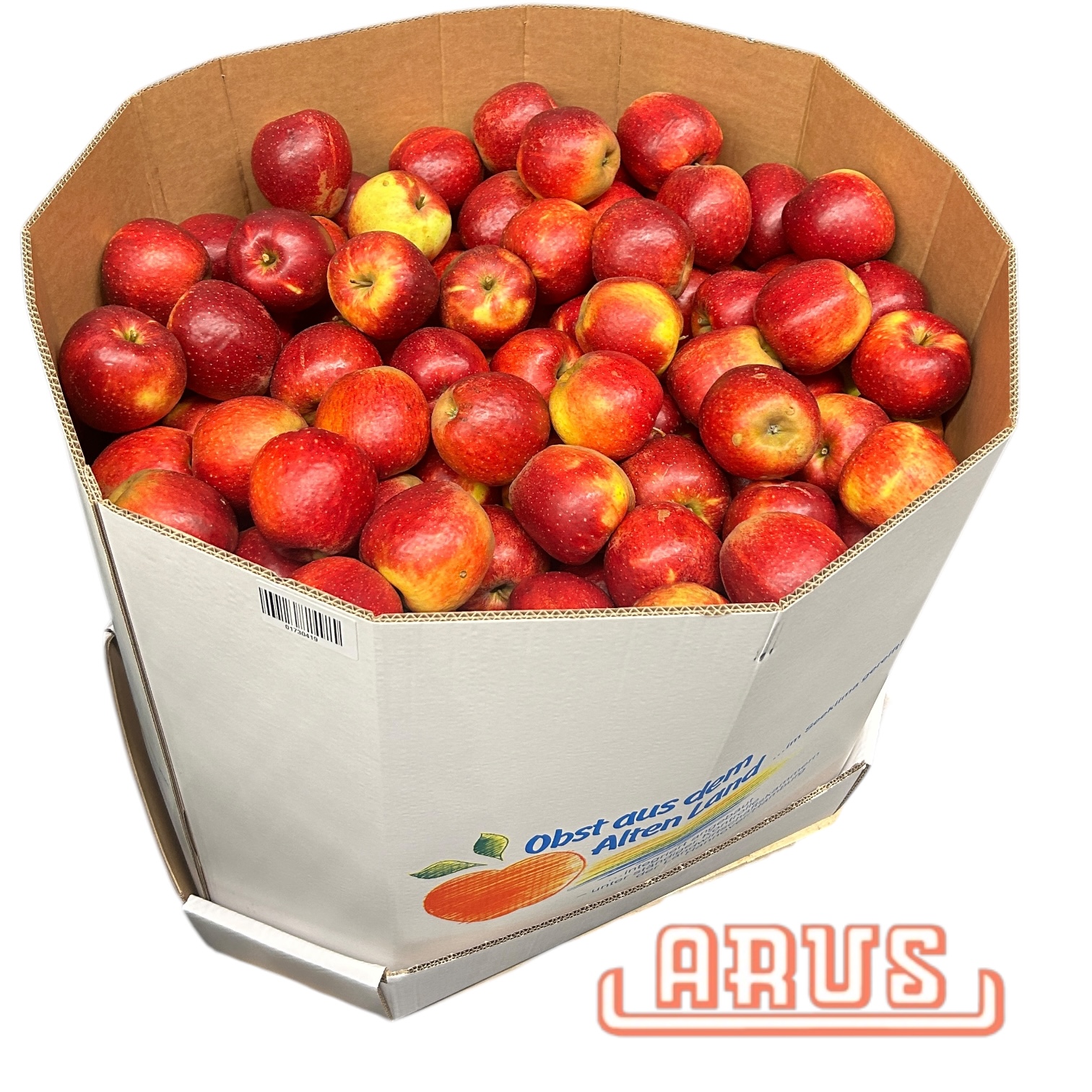 Äpfel Braeburn "lose" 120kg -Pappbox -