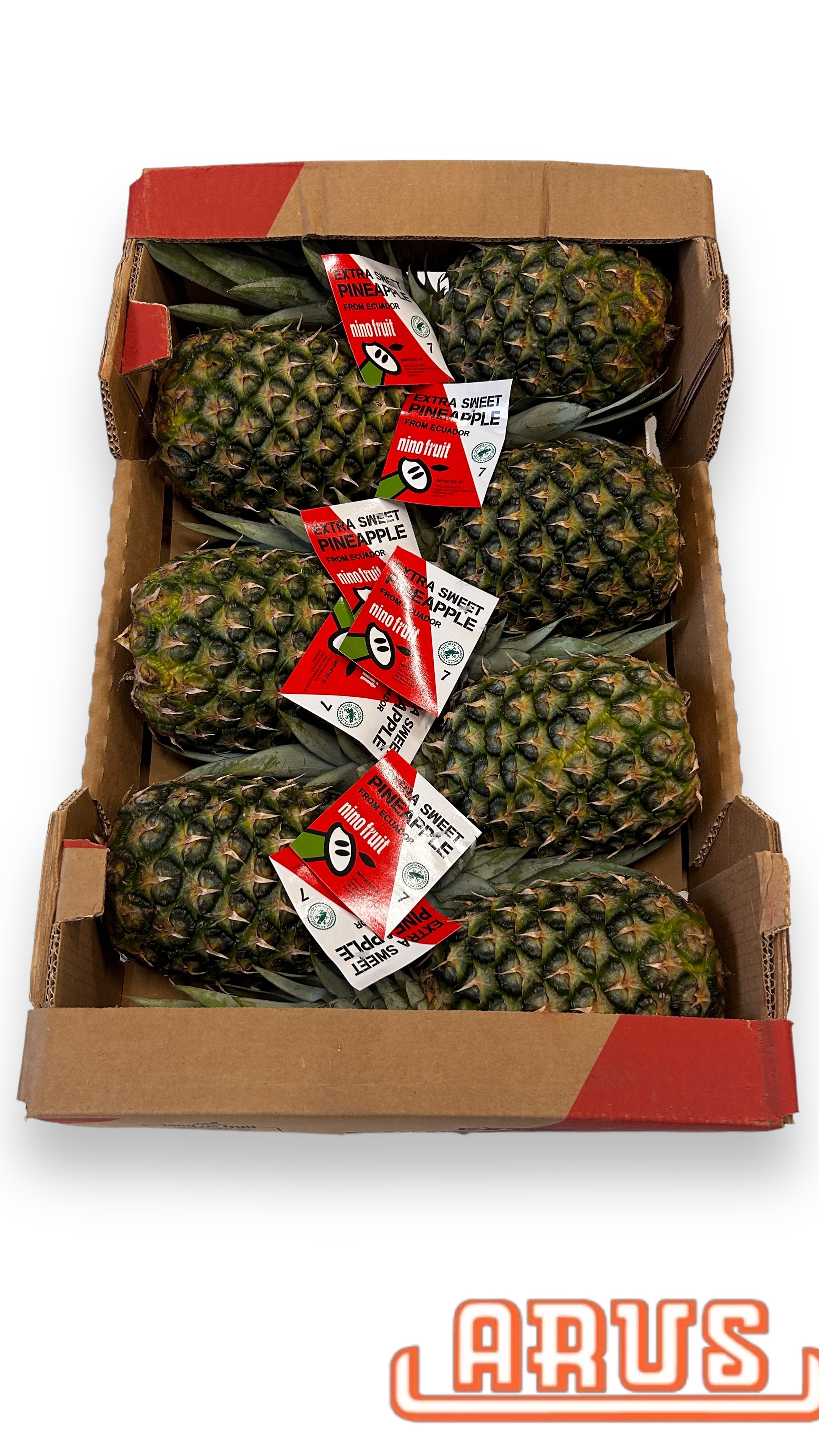 Sweet-Ananas "Nino" 7er