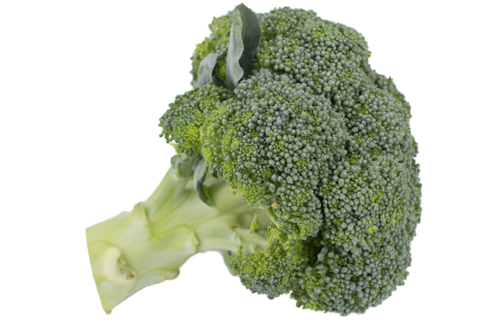 Broccoli "lose " 6kg - Anny -