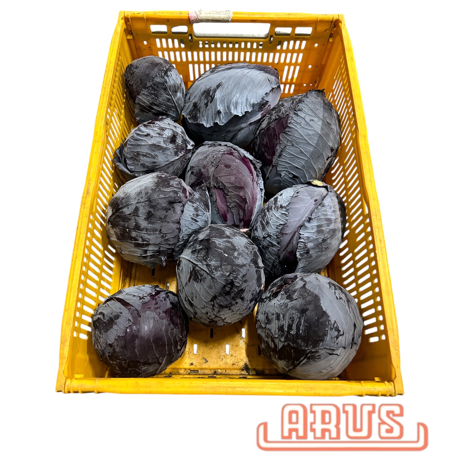 Rotkohl 15kg