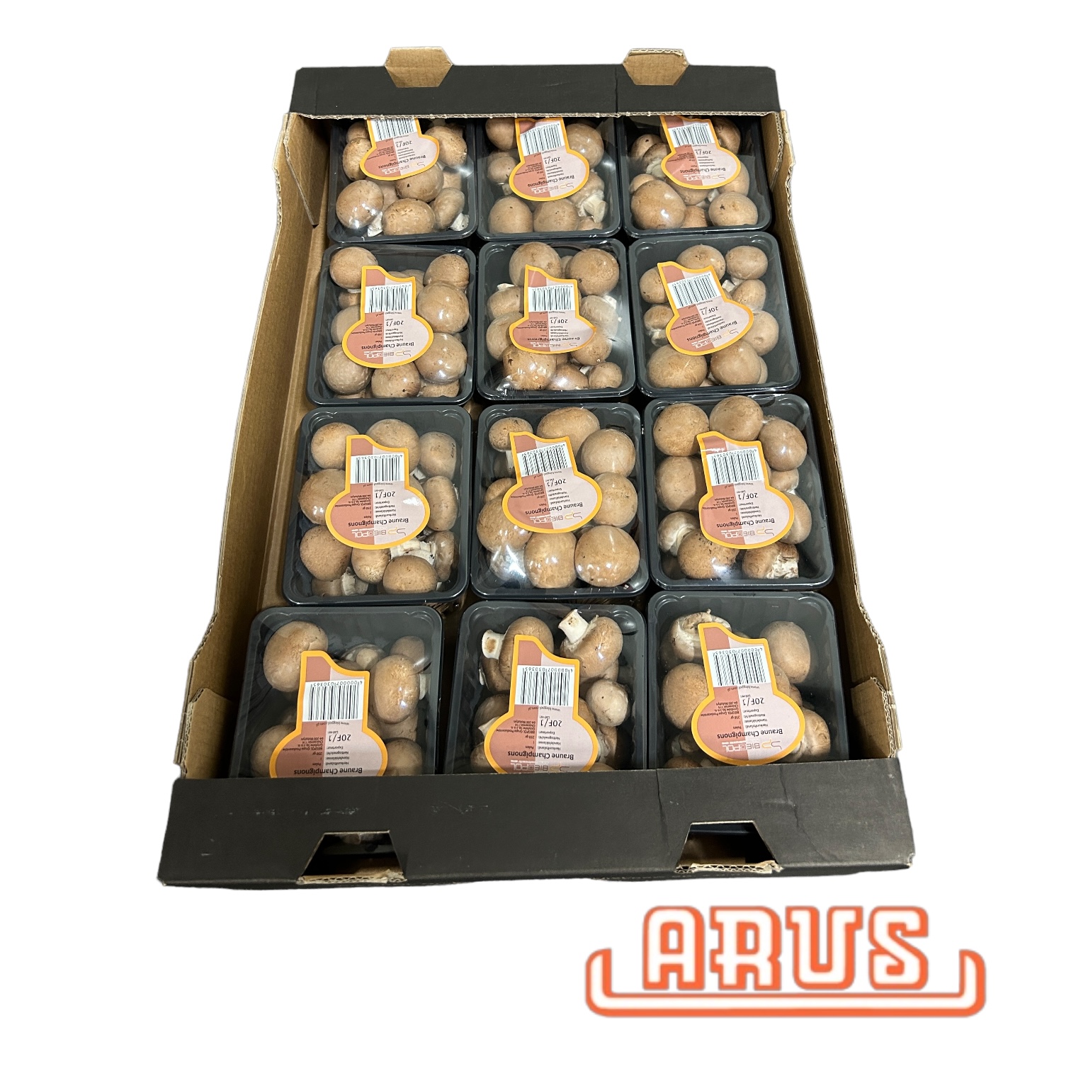 Champignon "rosé, braun/gepackt" 12 x 250g